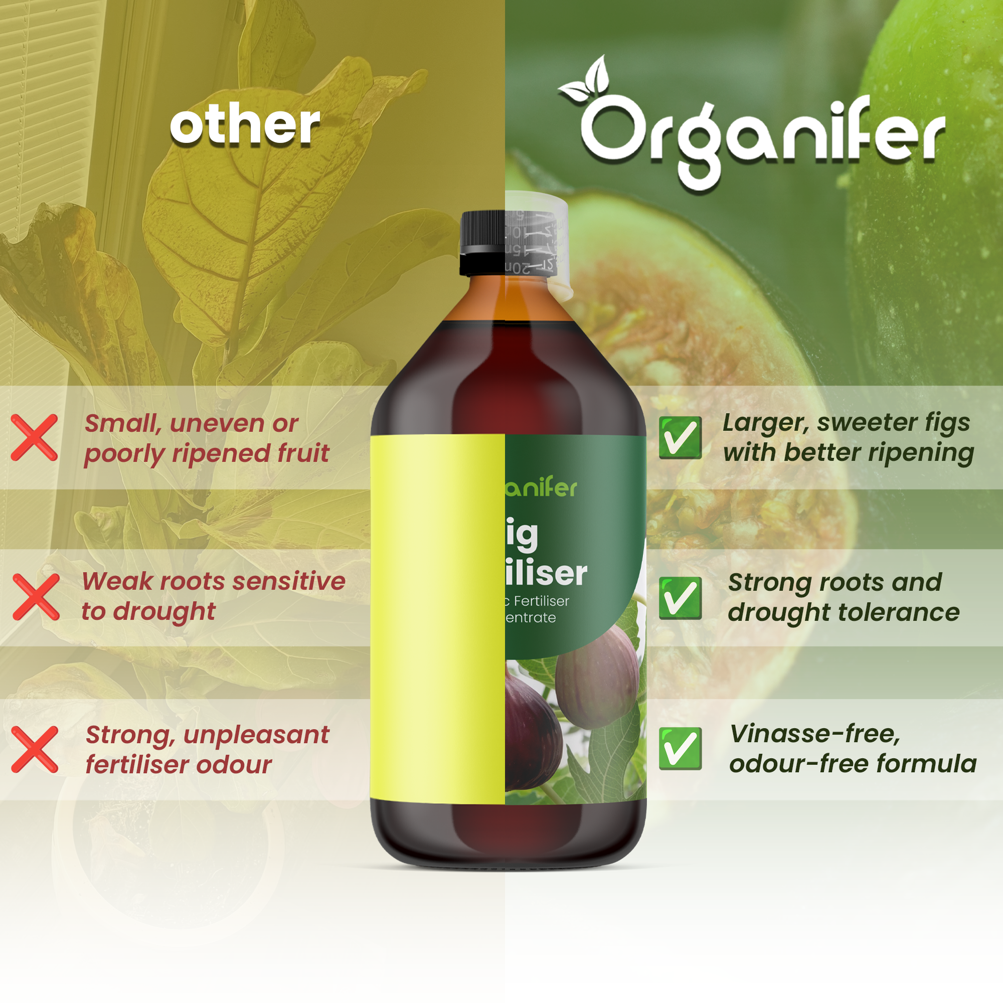 fig comparison english