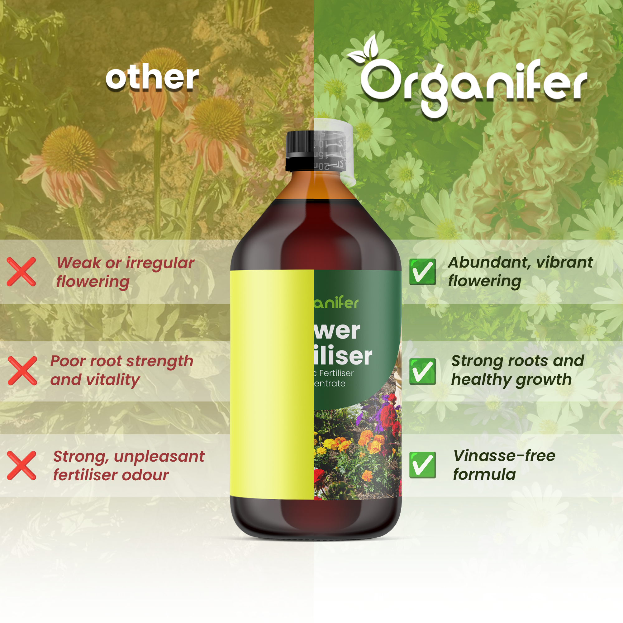 flower comparison english