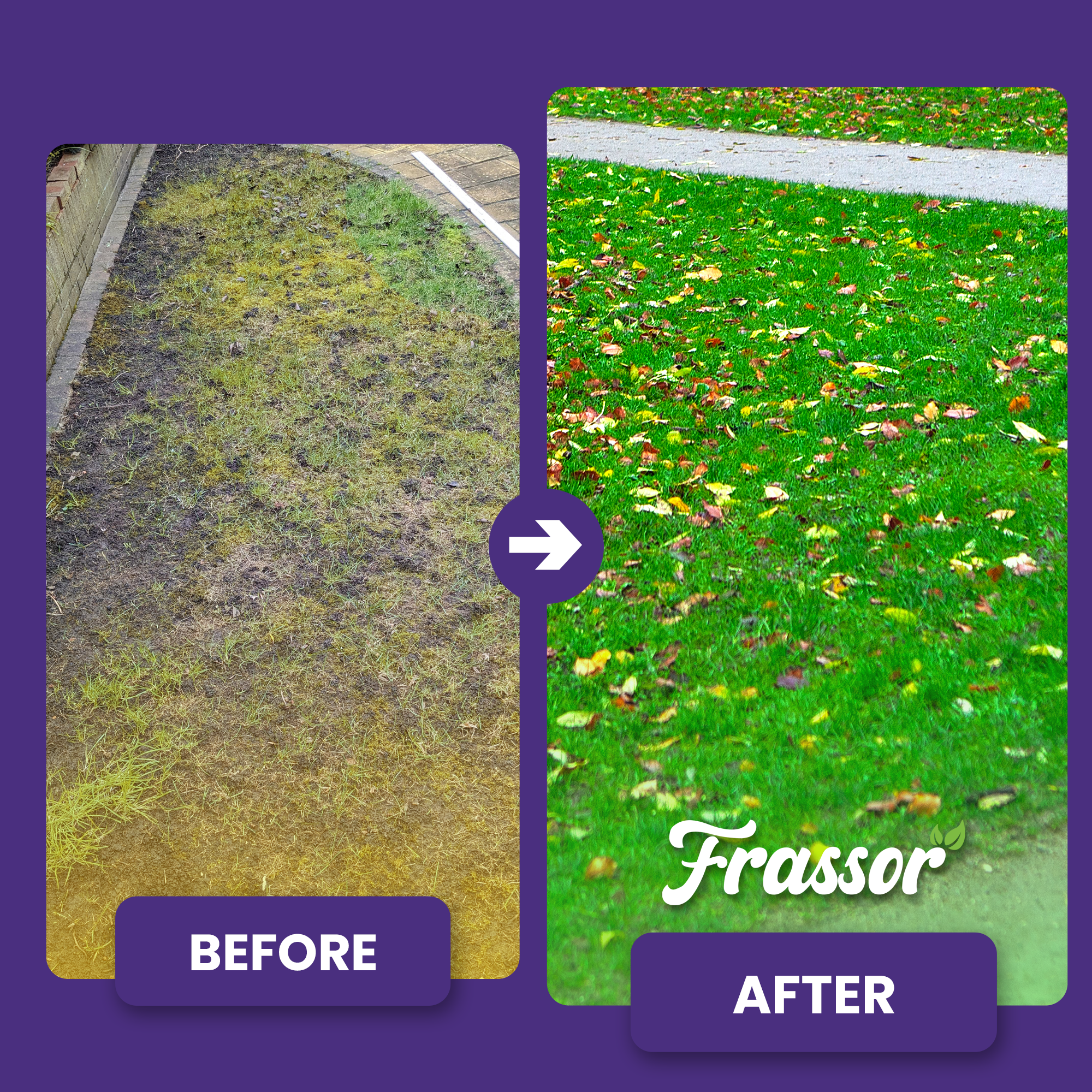 frassor autumn all in one before after english