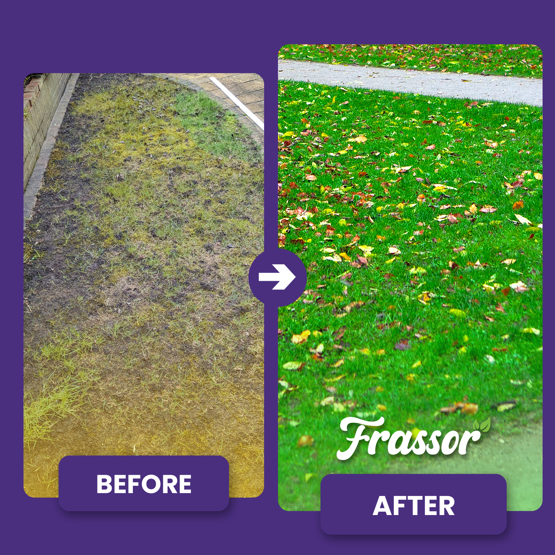 frassor autumn all in one before after english