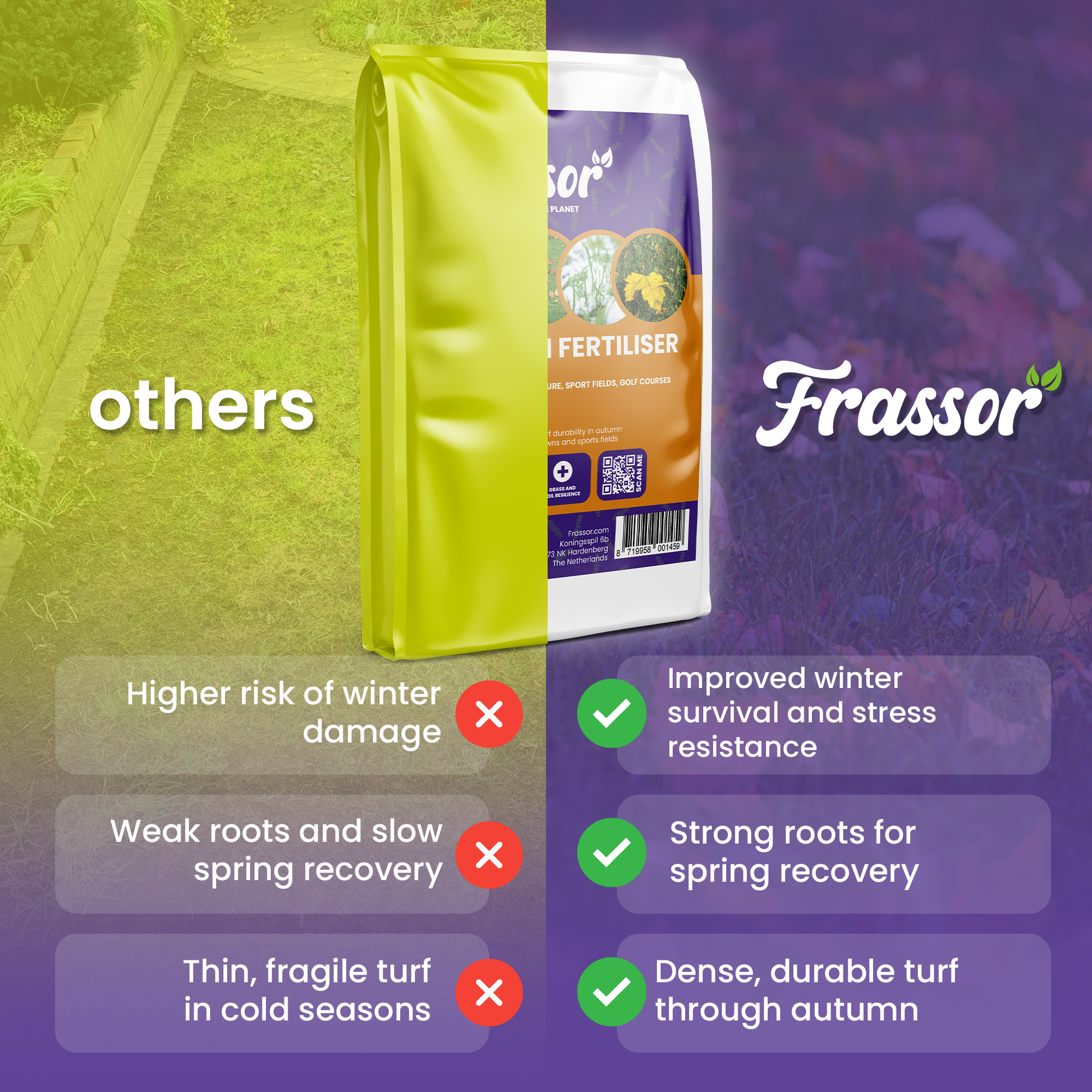 frassor autumn all in one compare english