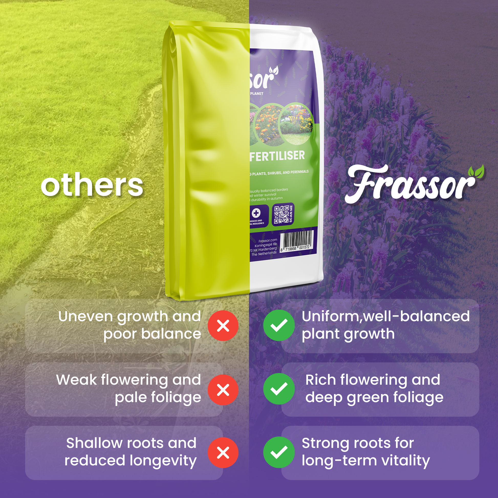 frassor border all in one compare english