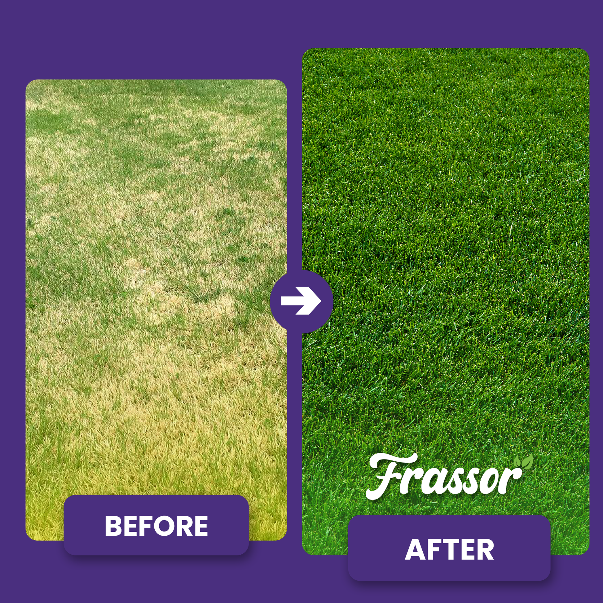 frassor grass vital before after english