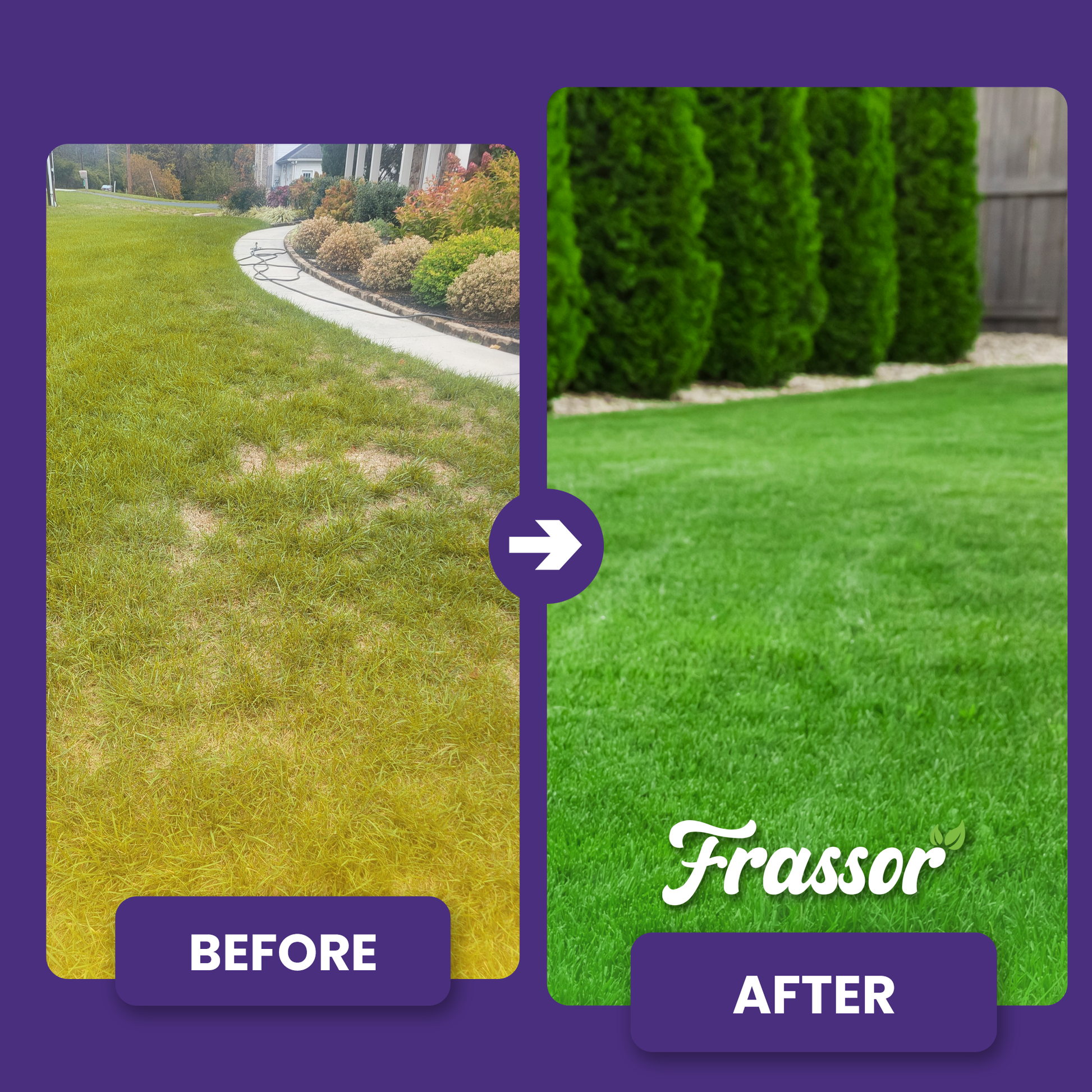 frassor lawn all-in-one ba english