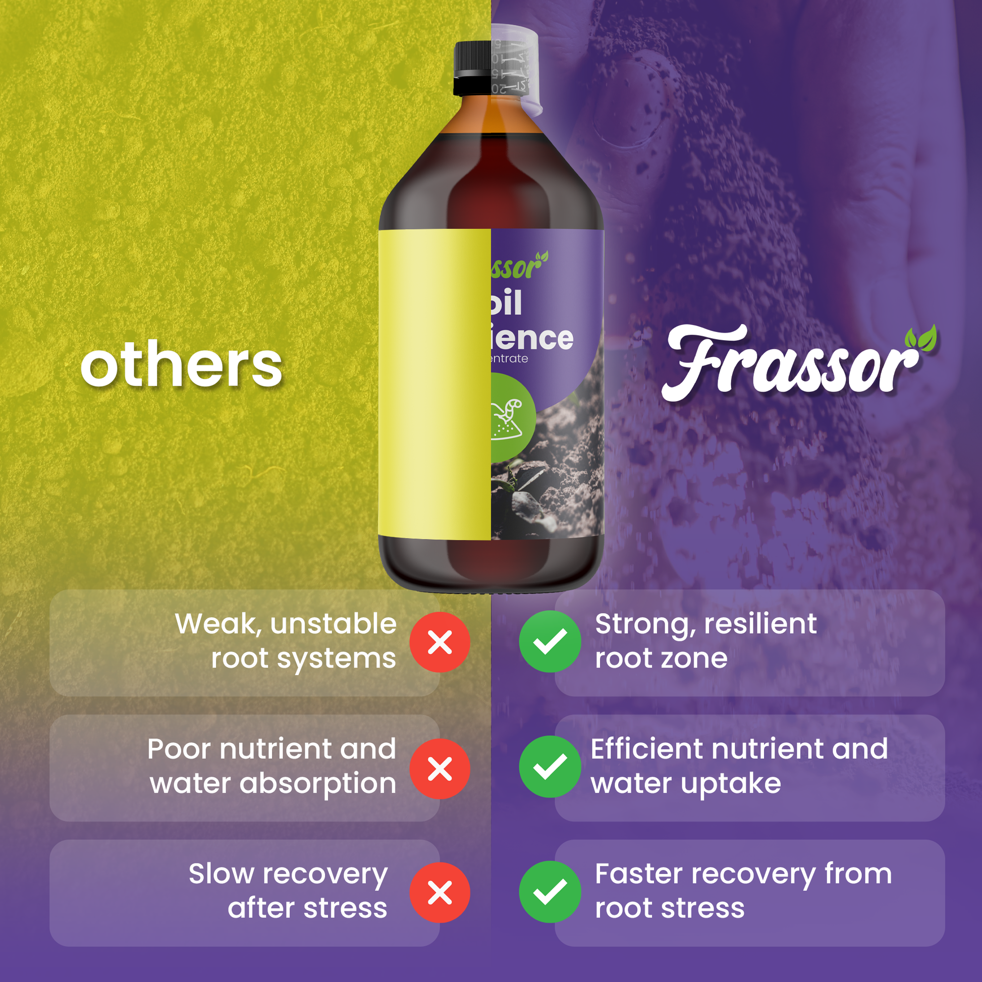 frassor soil resilience compare english