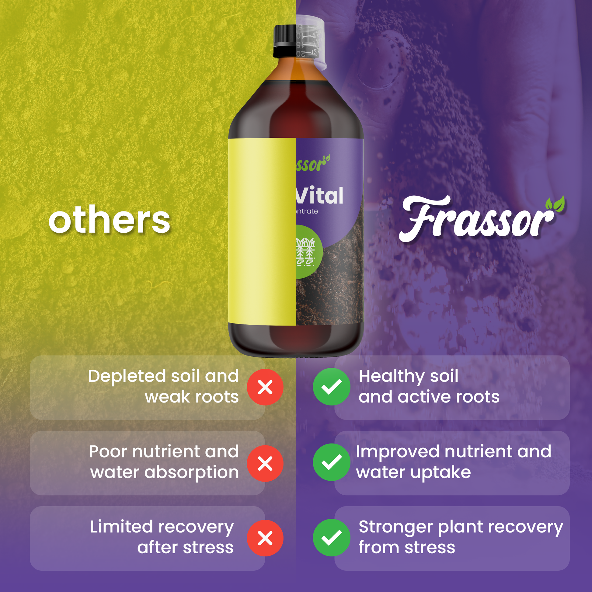 frassor soil vital compare english