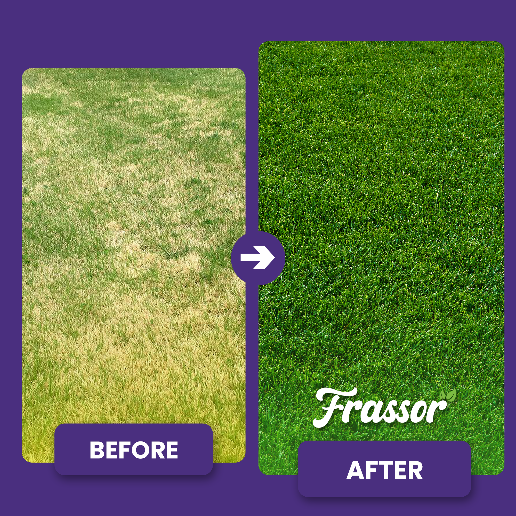 organifer_frassor_grass_vital_concentrate