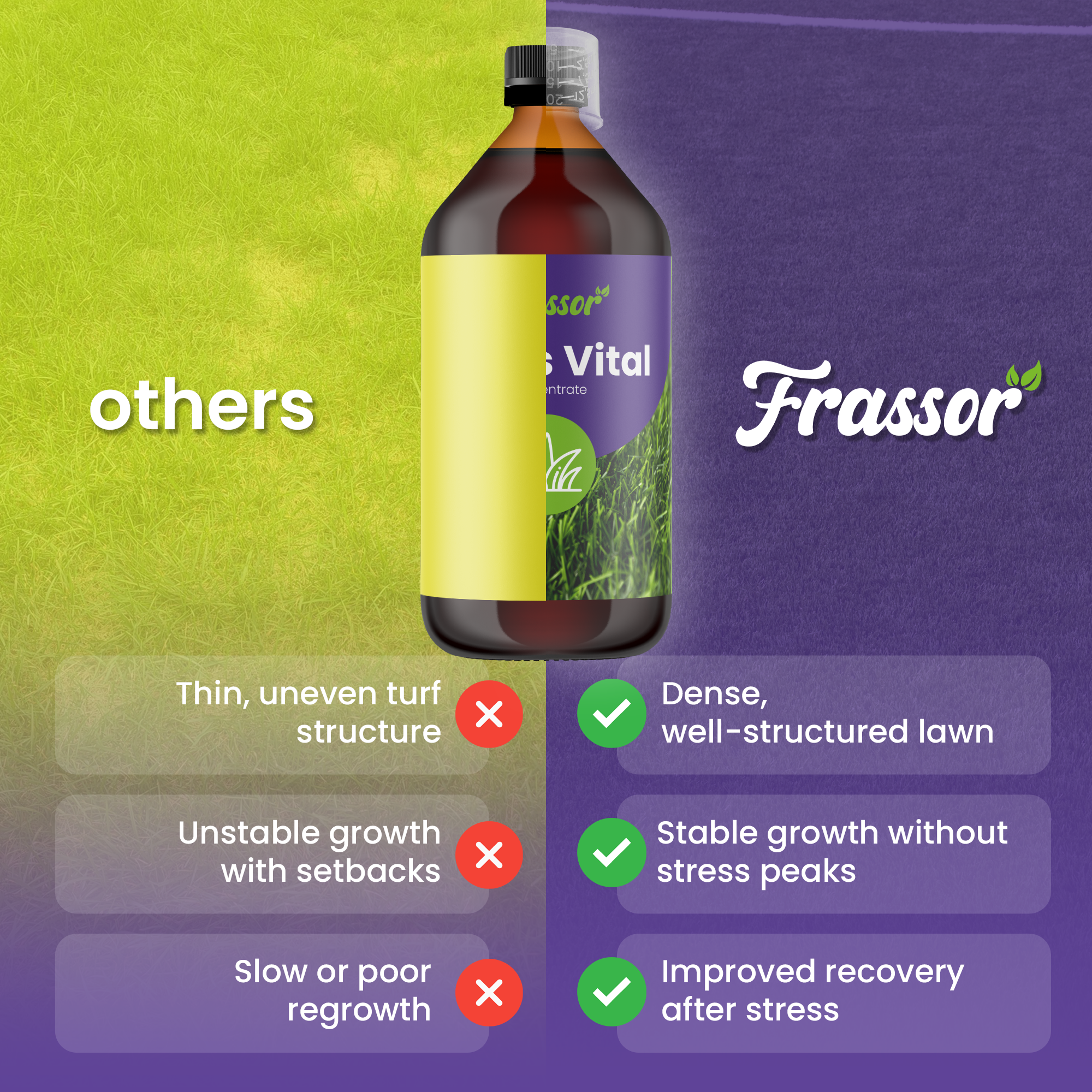 organifer_frassor_grass_vital_concentrate