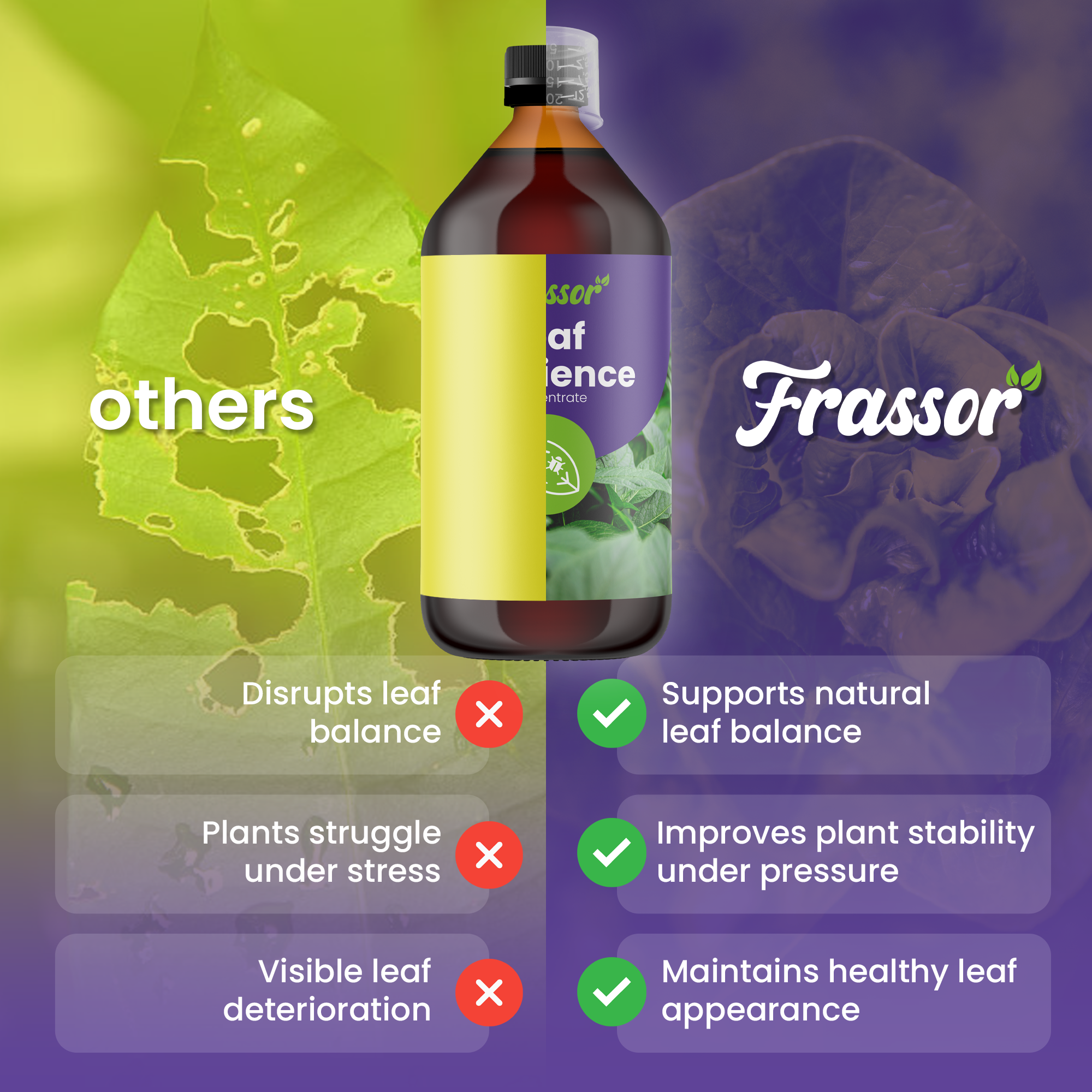 organifer_frassor_leaf_resilience-concentrate_comparison