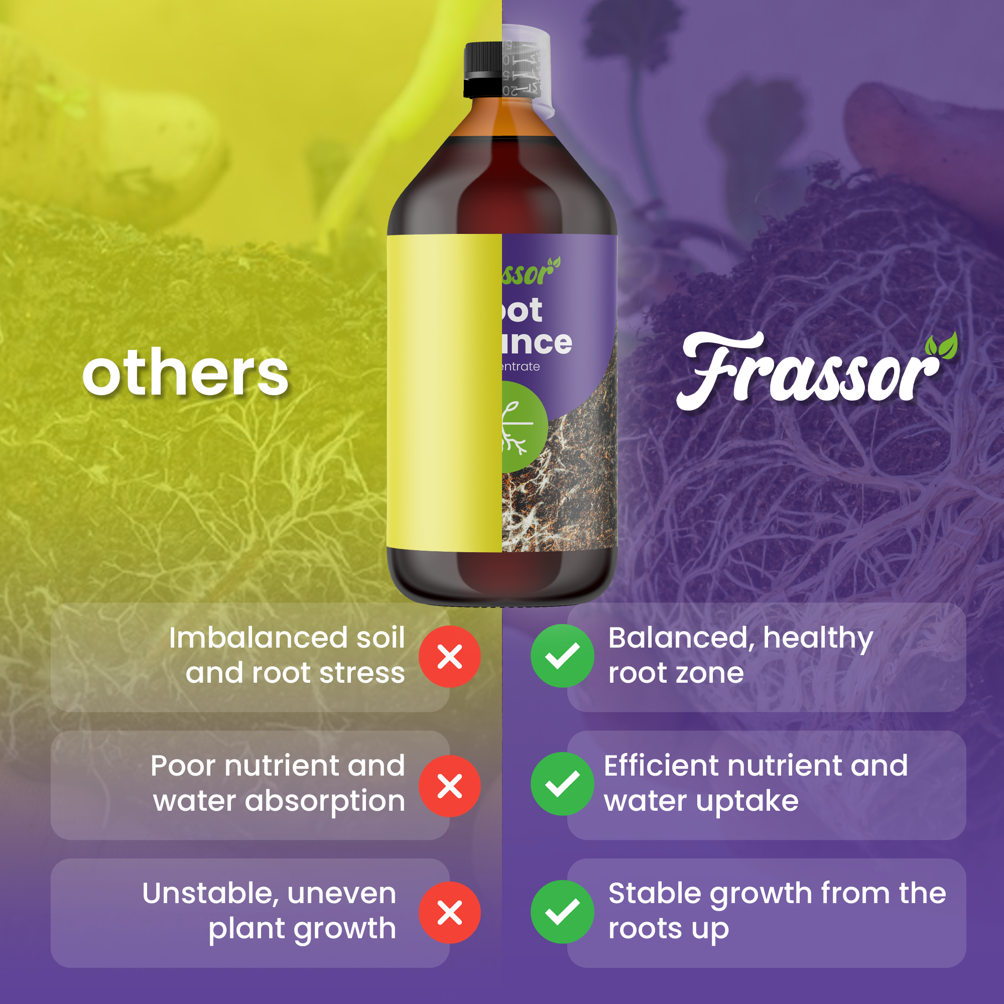organifer_frassor_root_balance_concentrate 