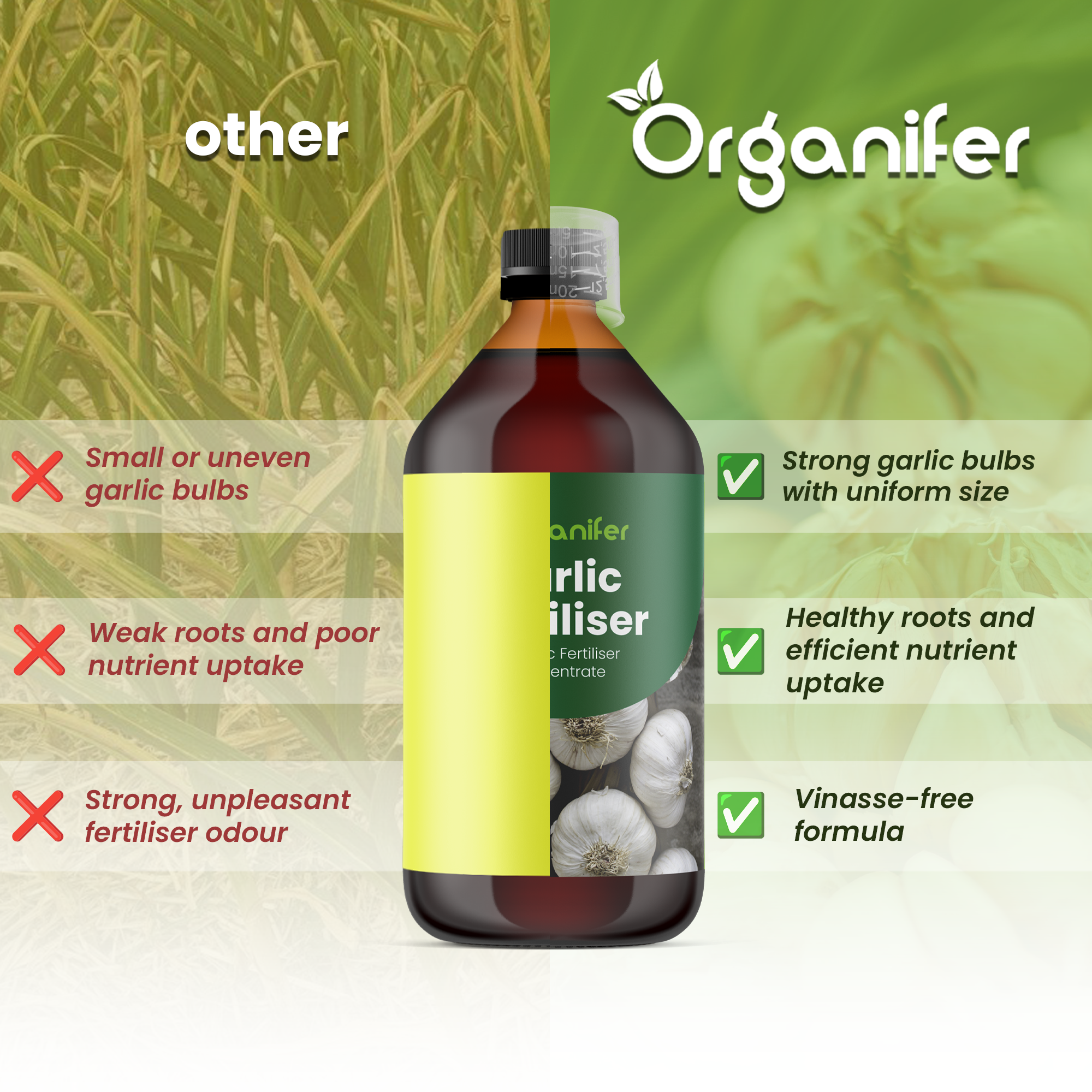 organifer garlic comparison