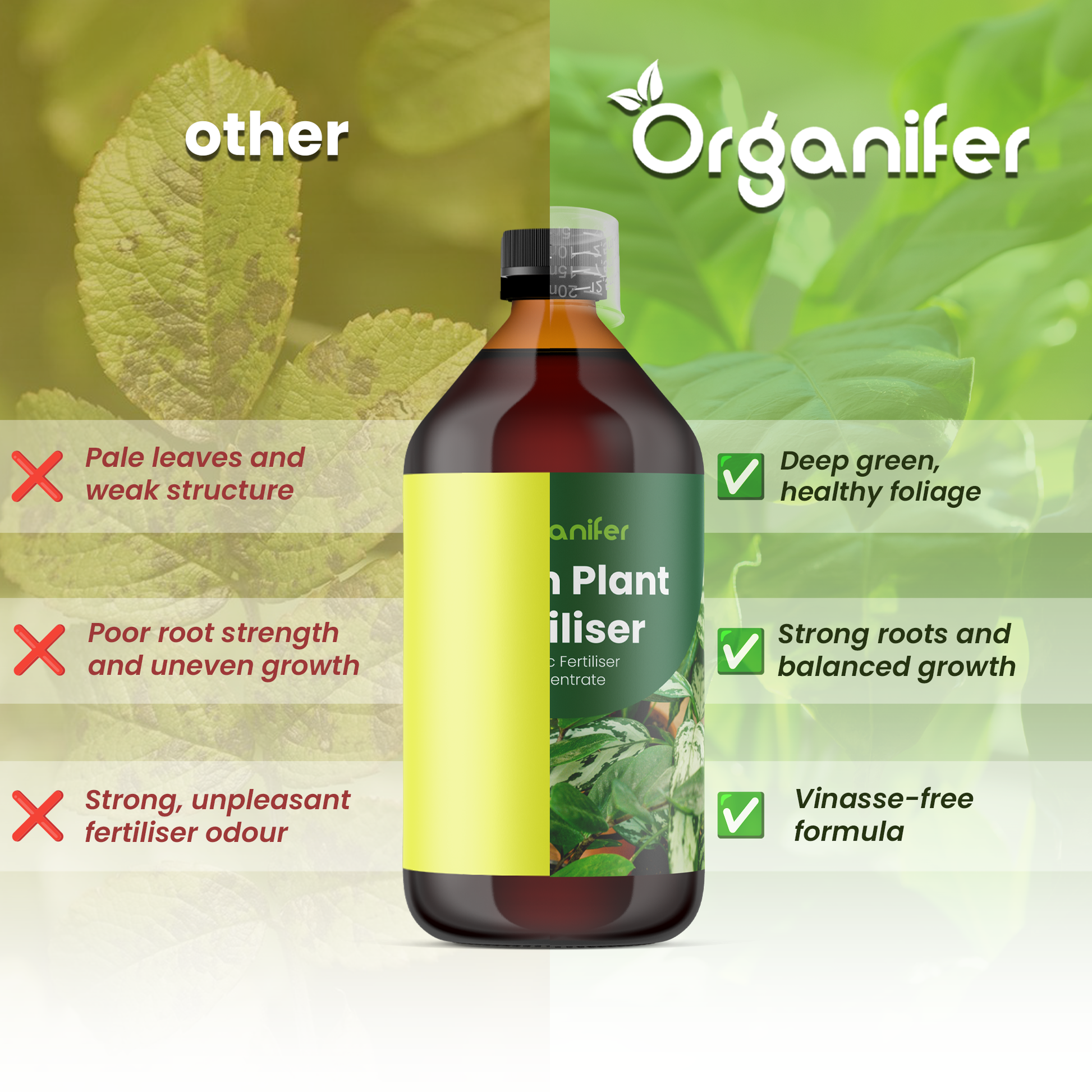 green_plant_comparison