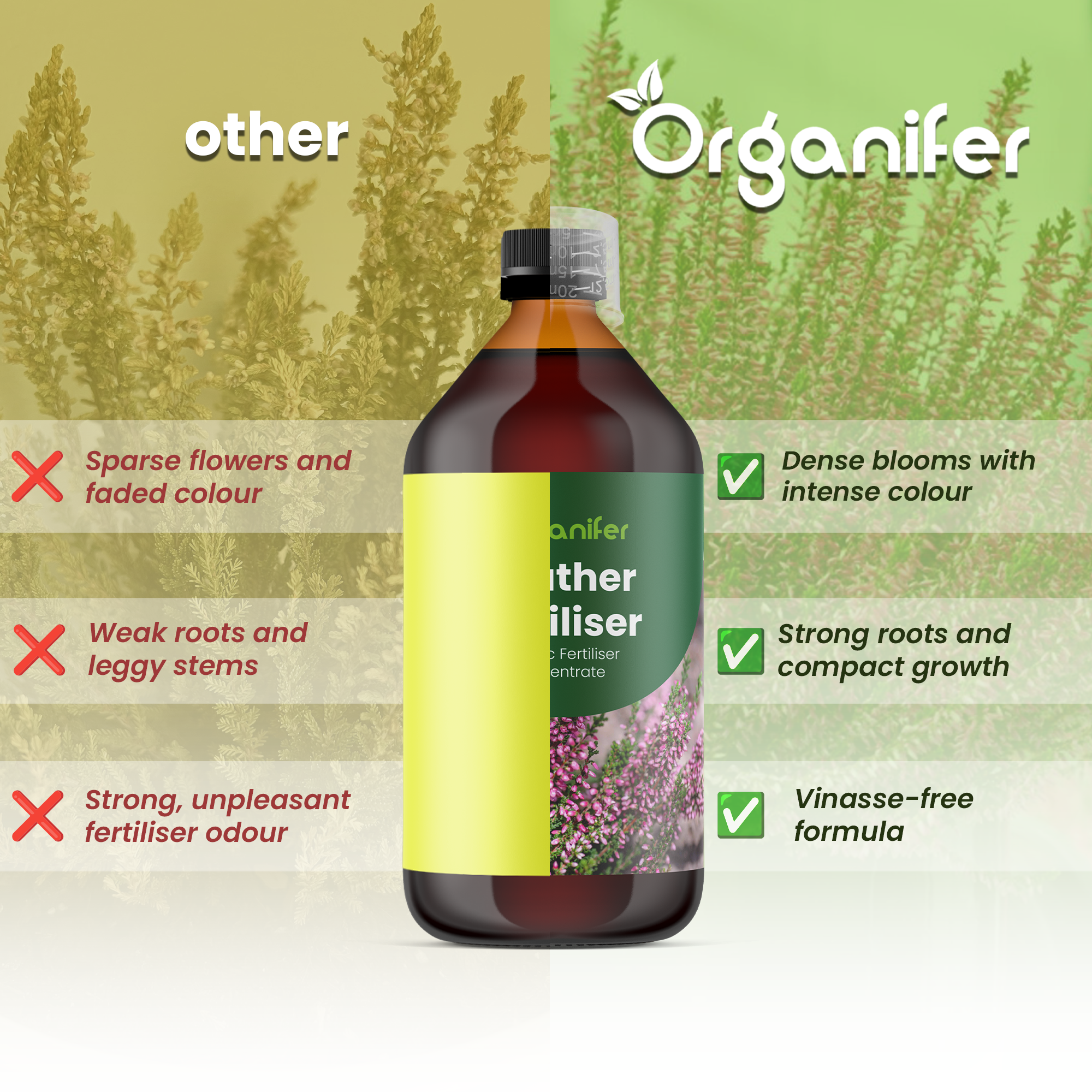 organifer heather comparison