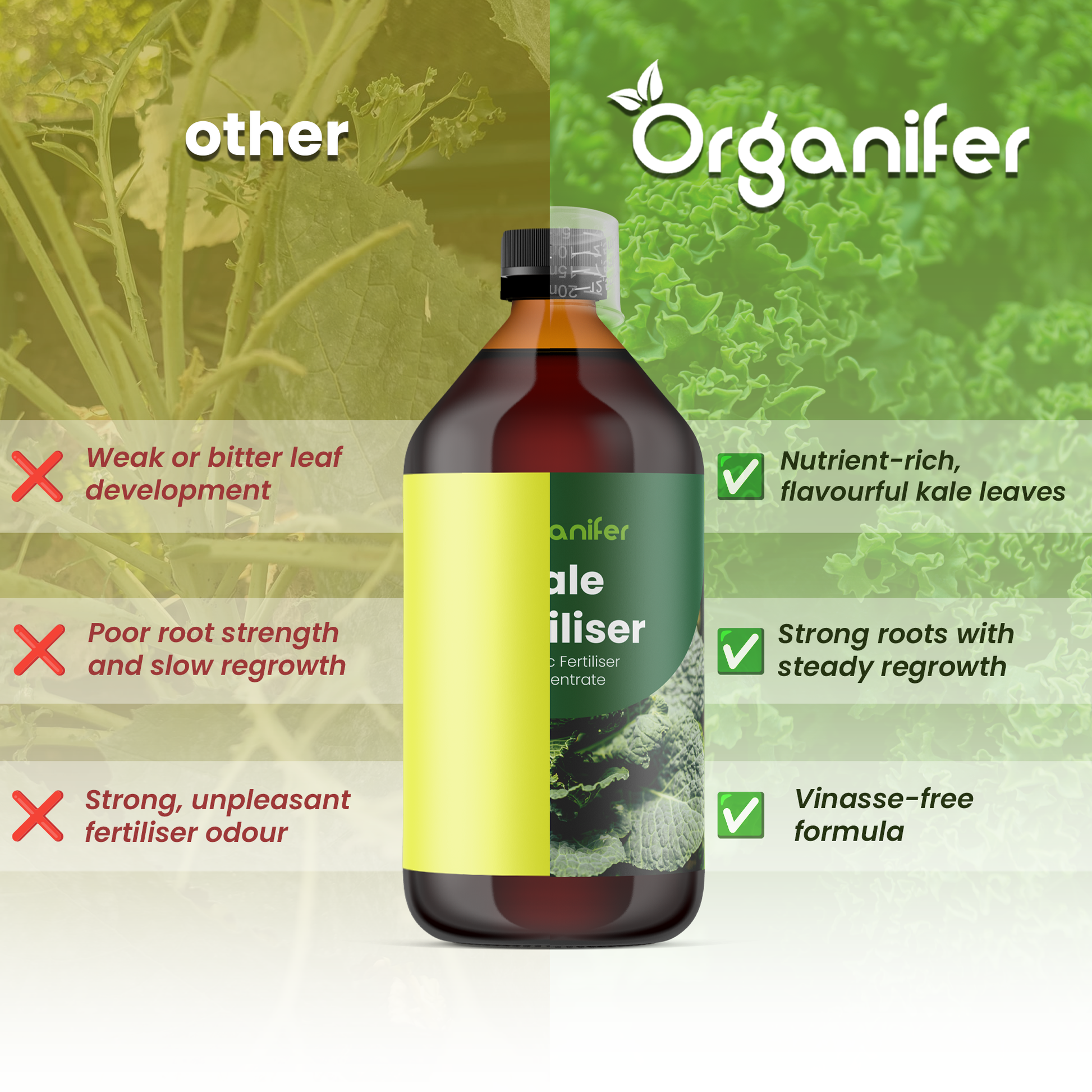 kale_comparison_english