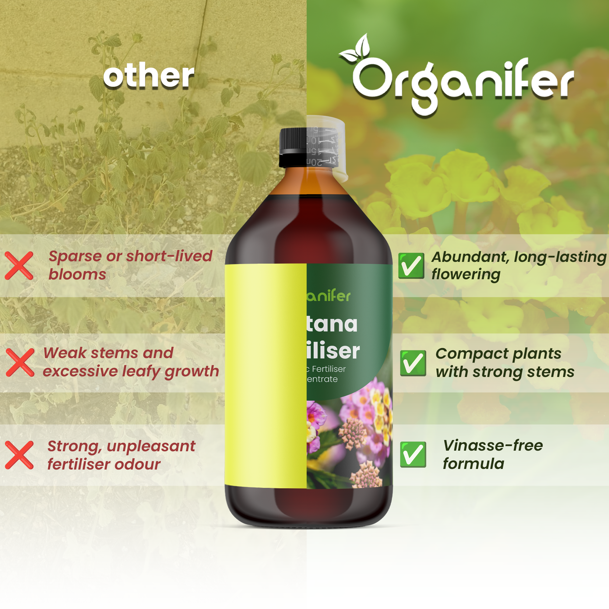 organifer-lantana-liquid-fertiliser