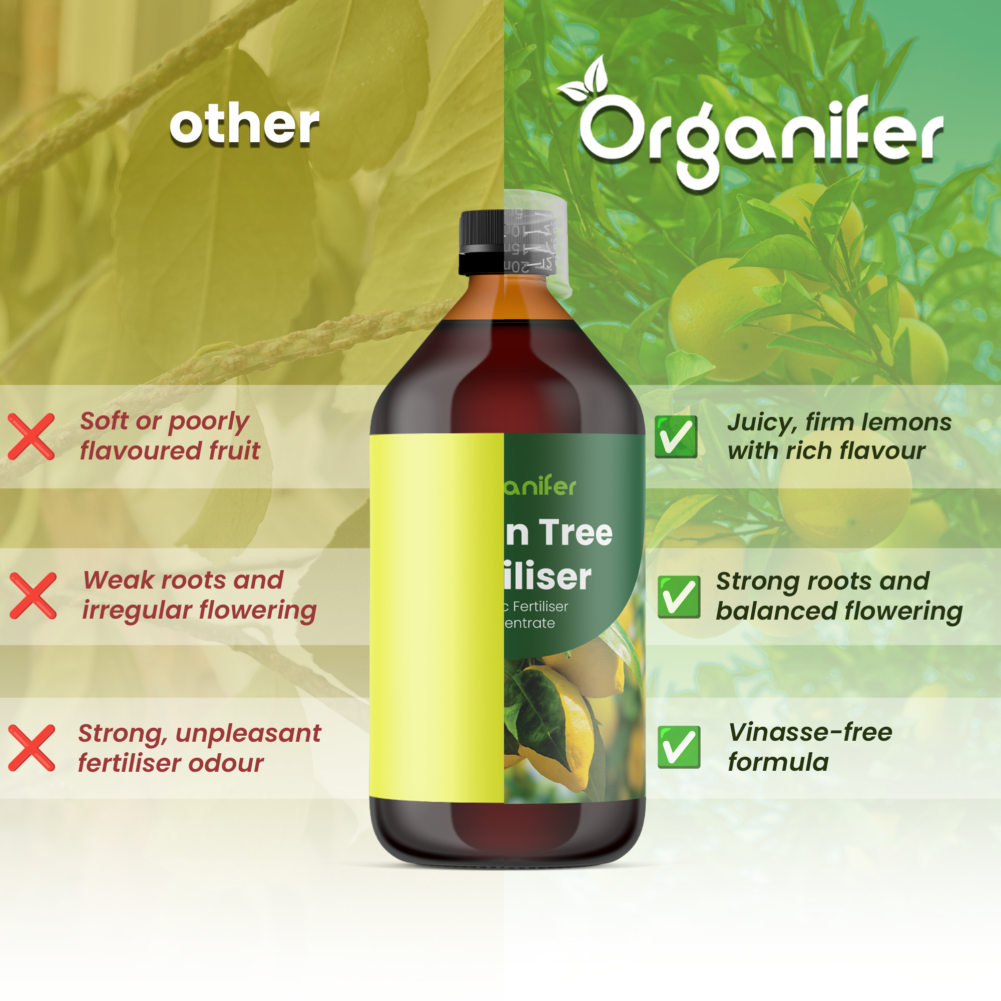 lemon_tree_comparison_english