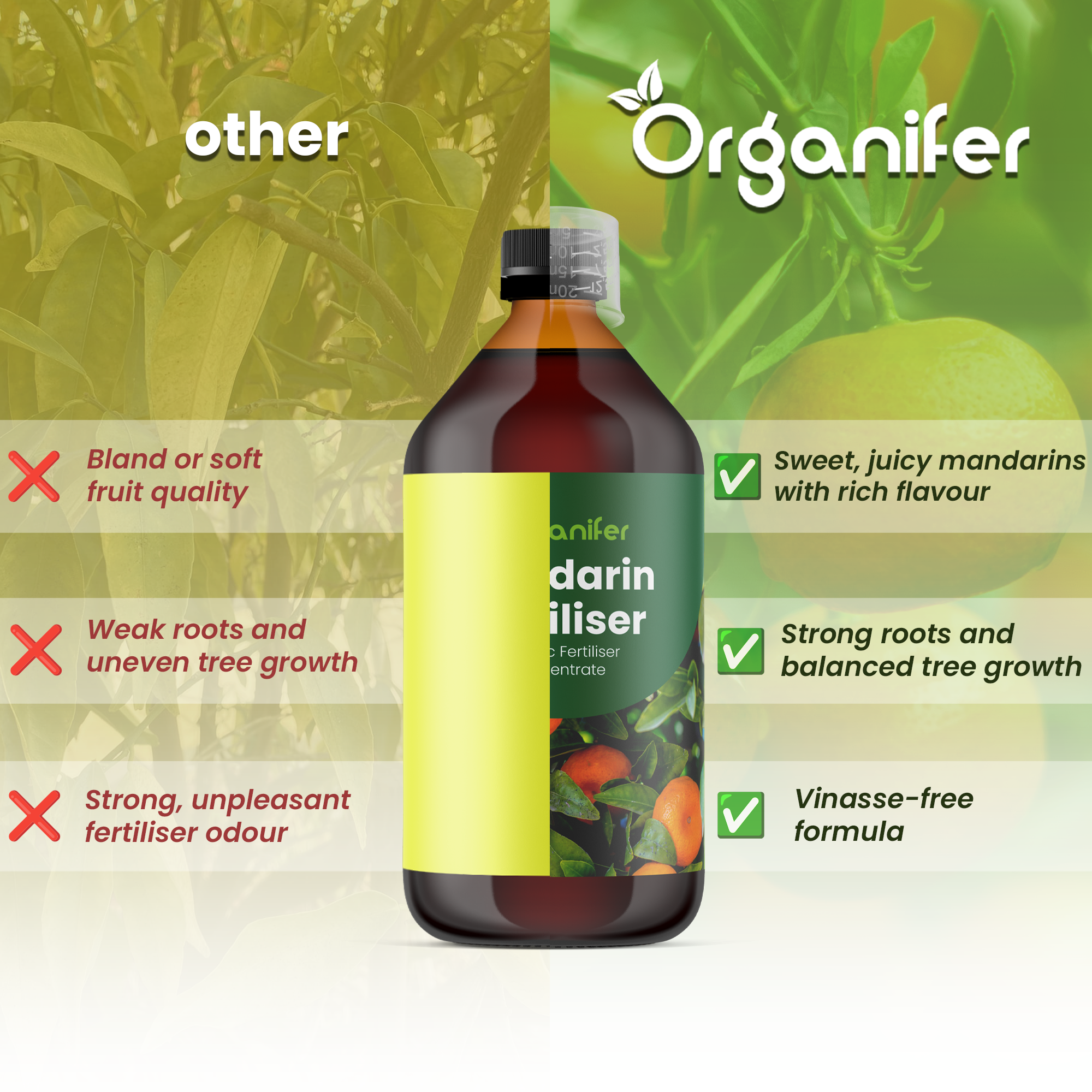 organifer-mandarin_comparison_english