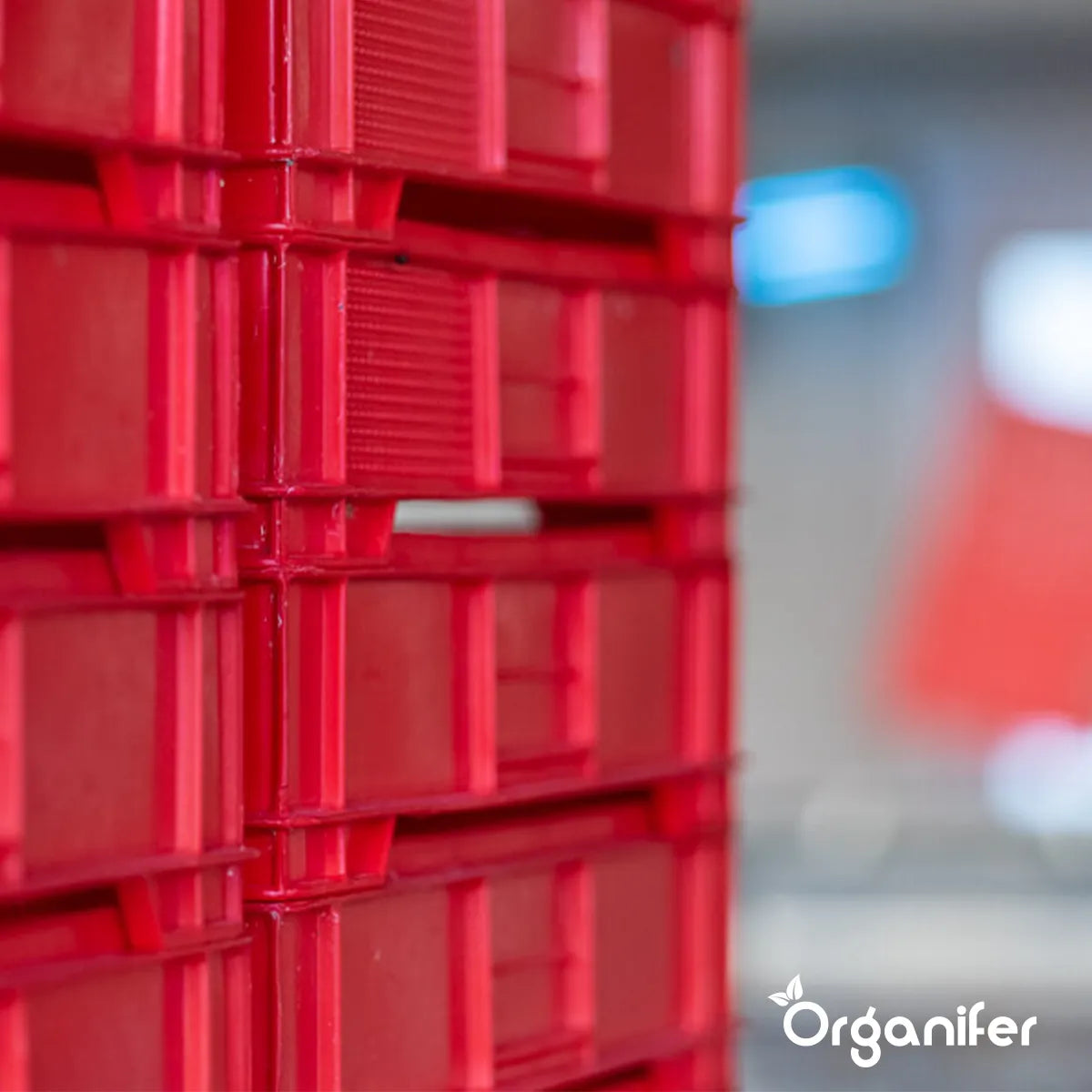 meelworm Frass Organifer