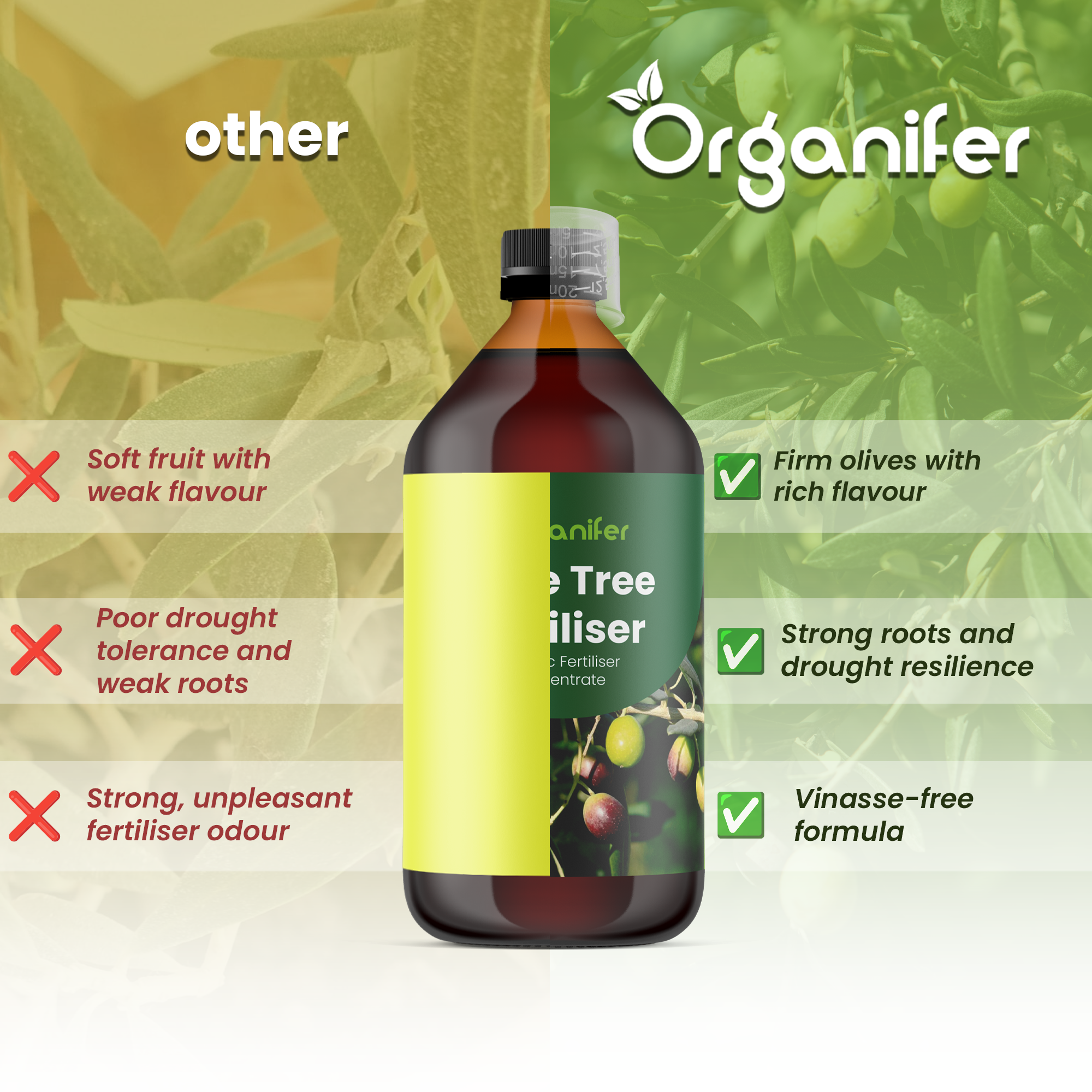 organifer-olive_tree_comparison_english