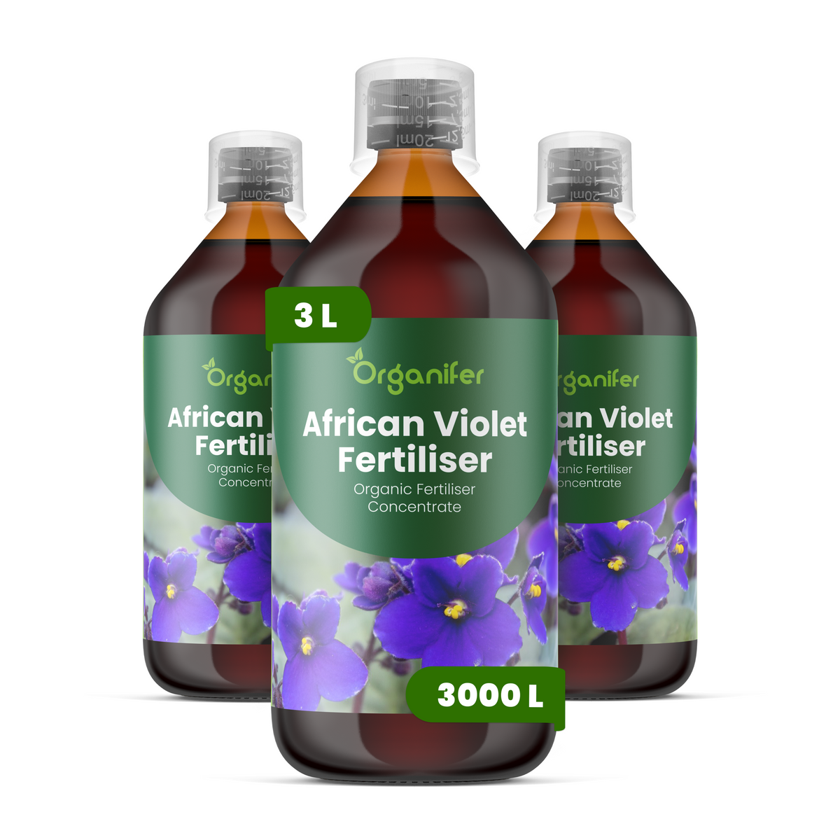 3L African Violet labels