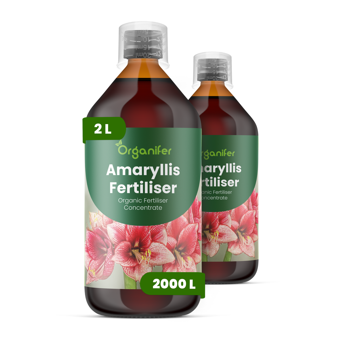 8719958003880 2L Amarryllis labels
