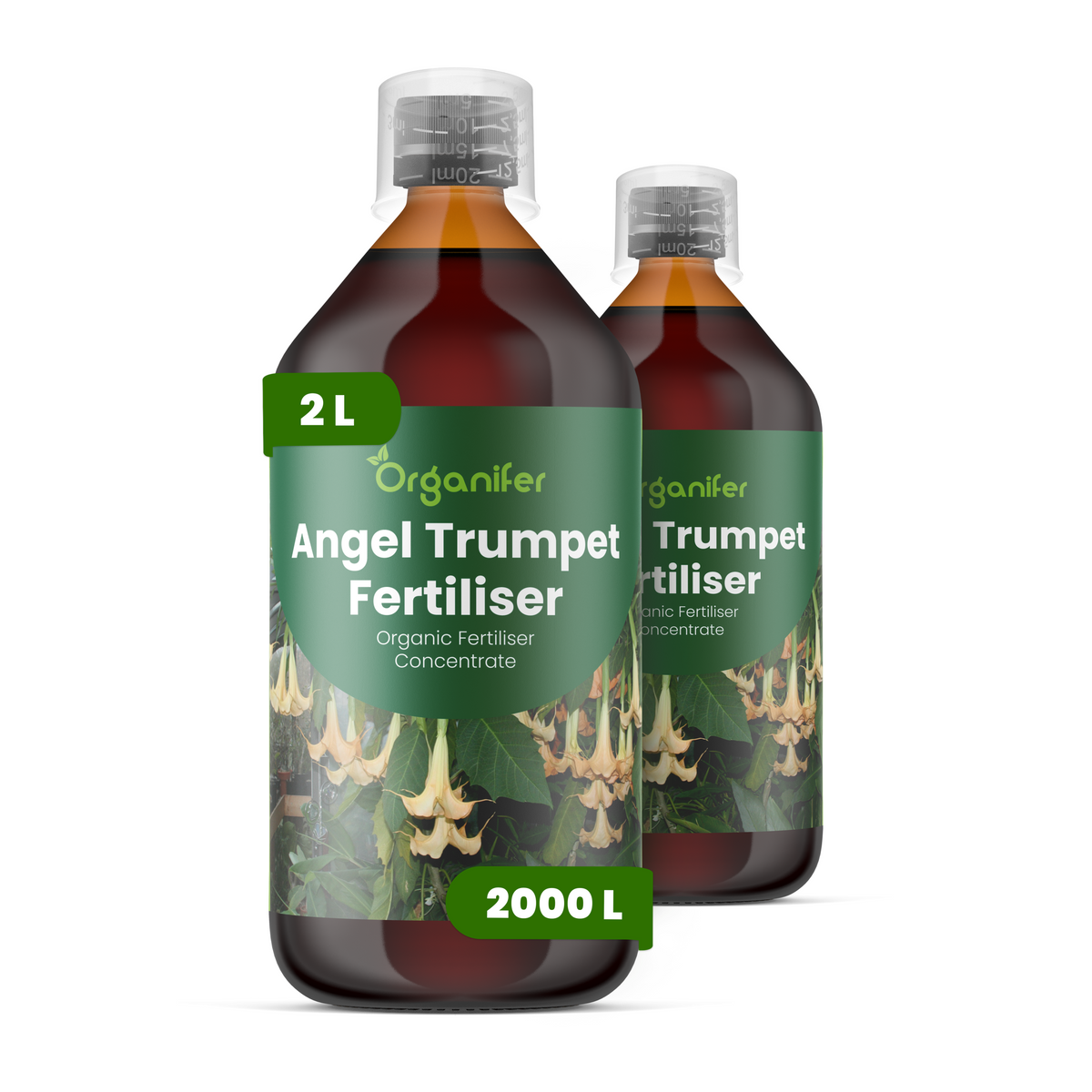 8719958003927 2L Angel Trumpet labels