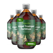 8719958003910 5L Angel Trumpet labels