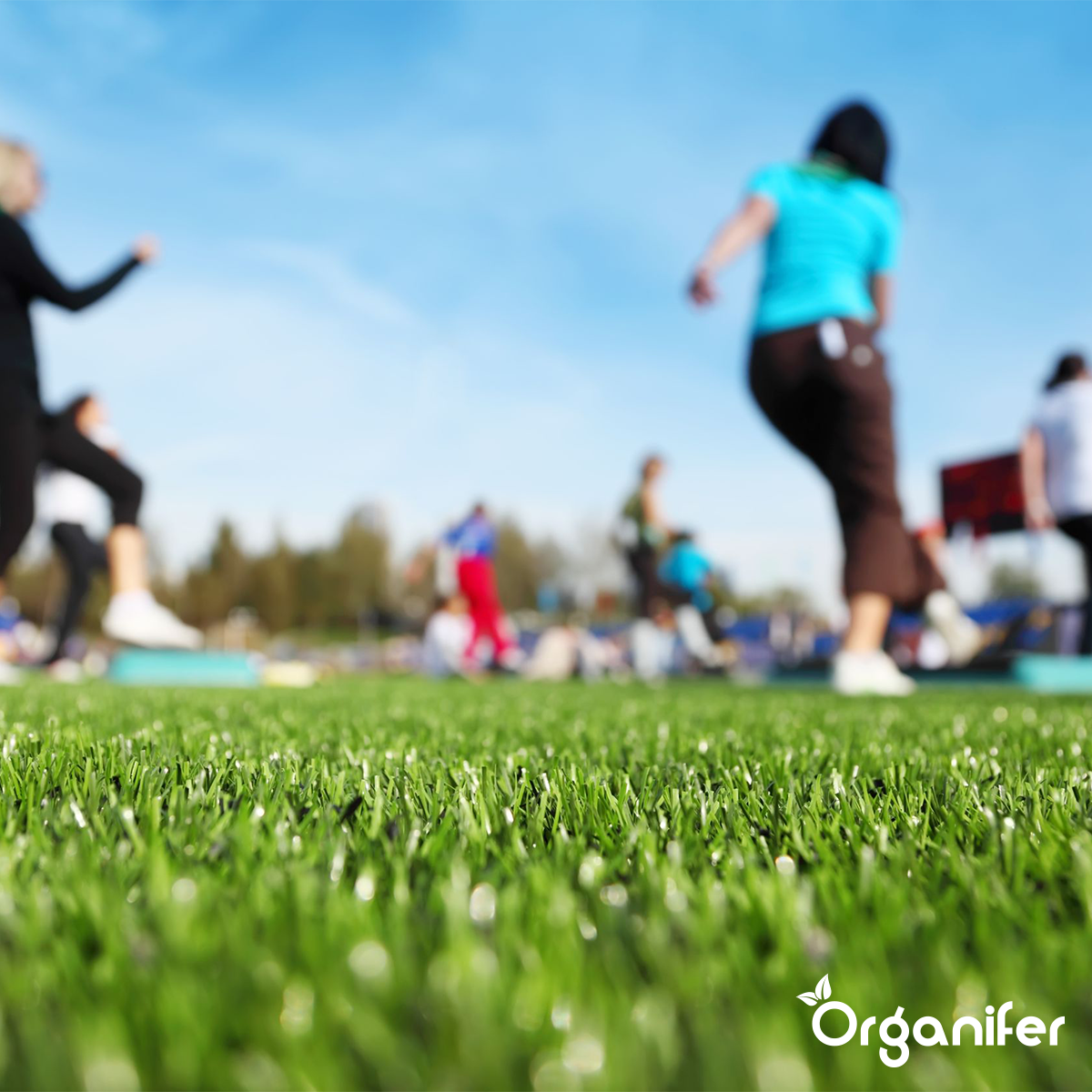 Organifer Autumn Fertiliser All-In-One (10 kg - for 200 m2) 8719958999695 12
