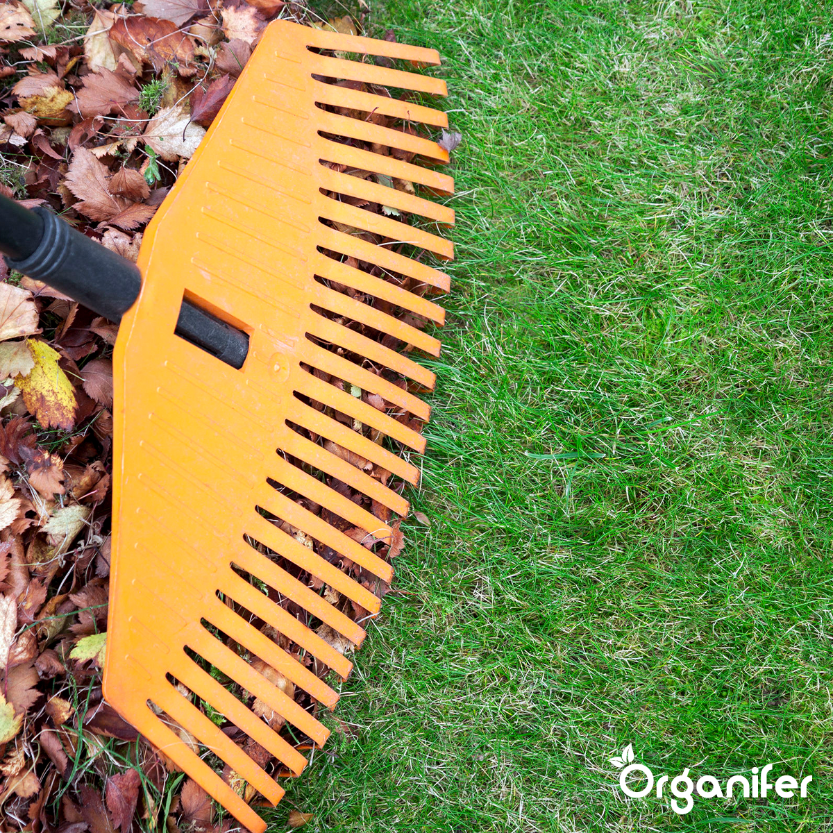 Organifer Autumn Fertiliser All-In-One (Big Bag 1000 kg - for 20.000 m2) 8719958999657 10