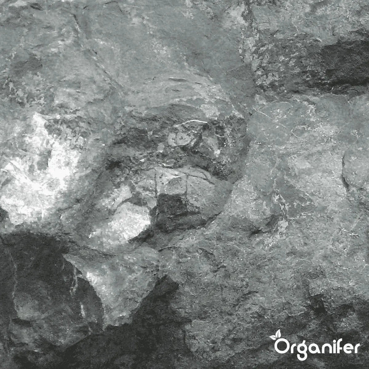 Organifer Basalt Meal Soil Improver for Clay Soil (20 kg - for 200 m2) 8719958998018 4