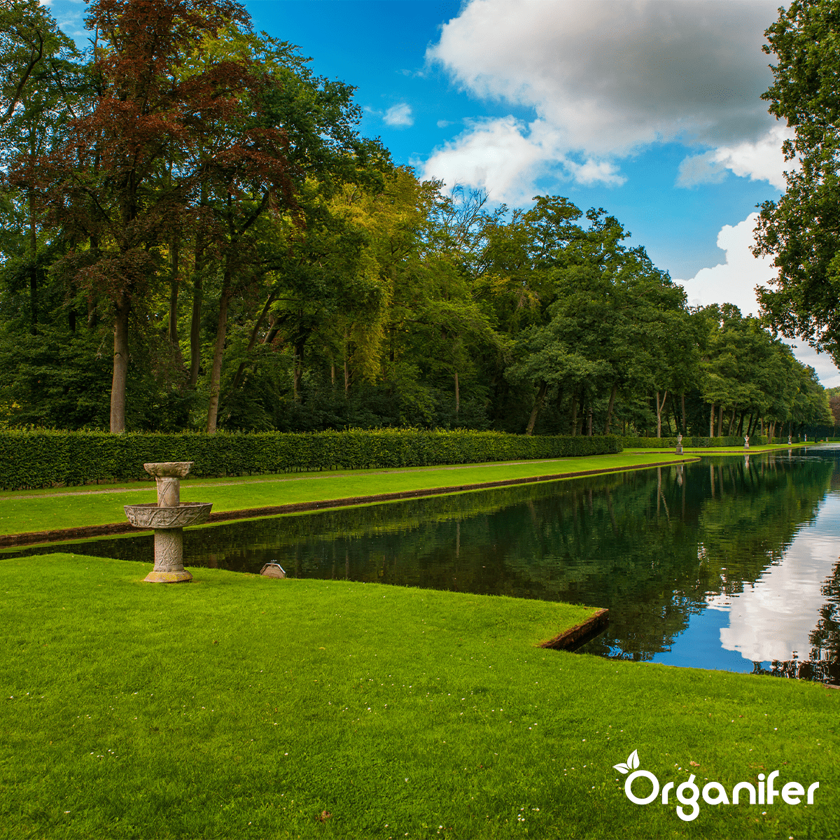 Organifer Bentonite Clay - Sandy Soil Improver (Big Bag 1000 kg - for 10.000 m2) 8719958995772 8