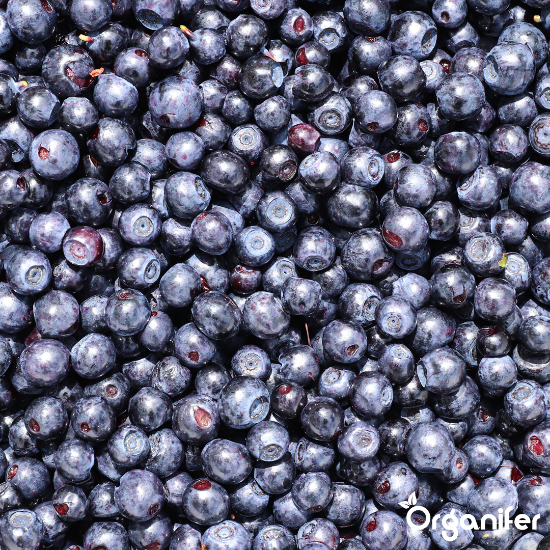 blueberry