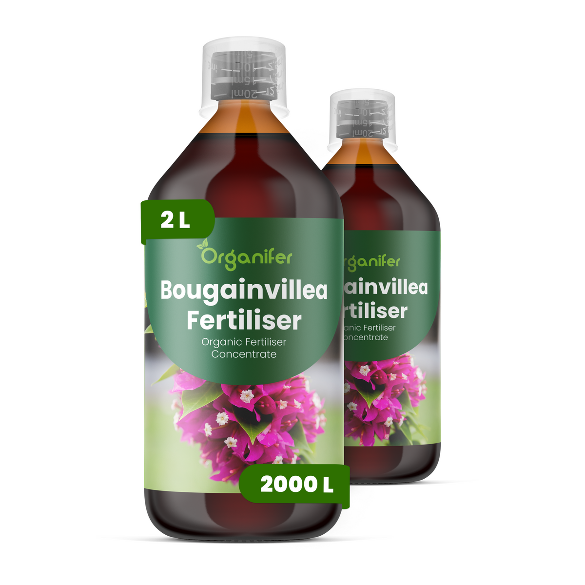 8719958004566 2L Bougainvillea labels