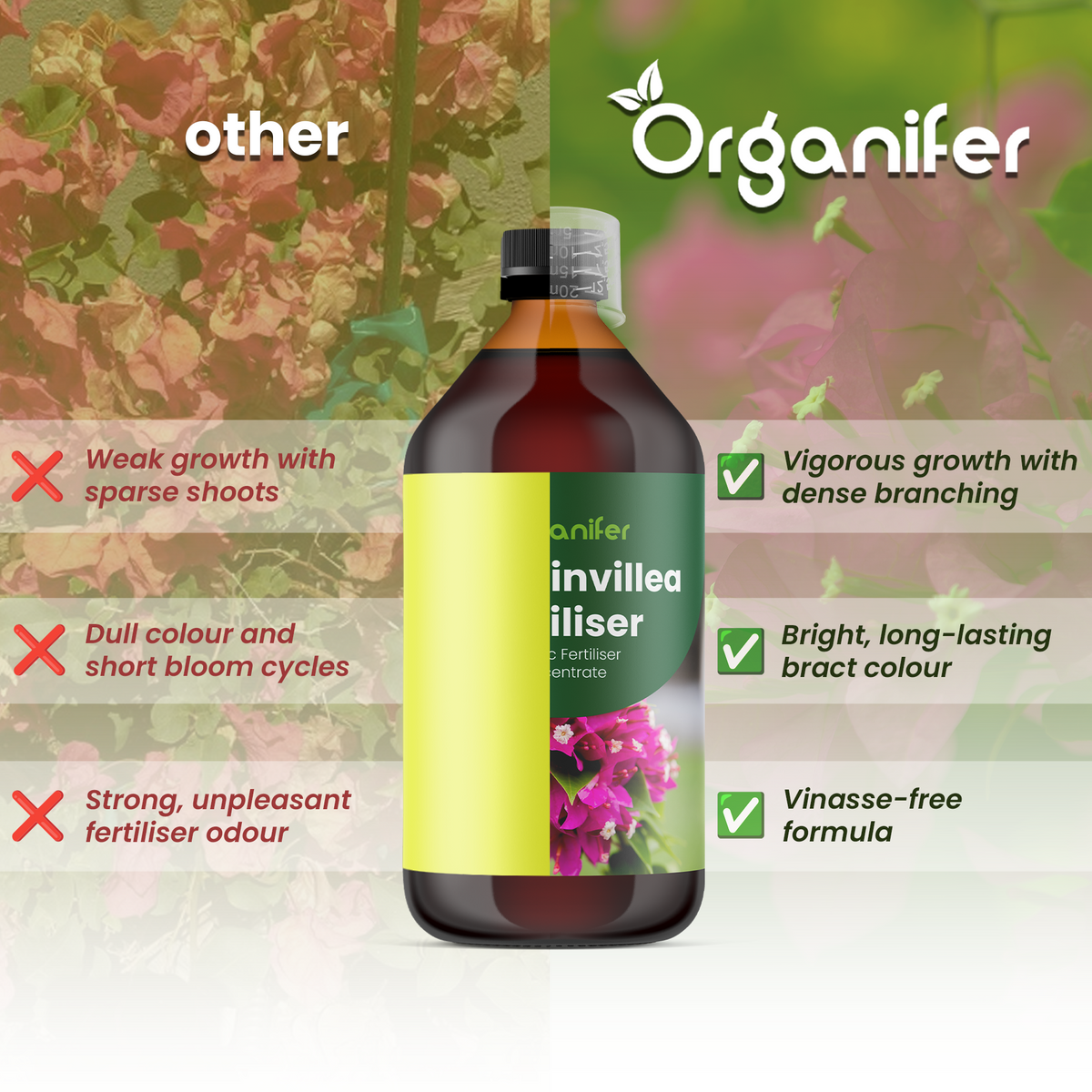 bougainvillea comparison