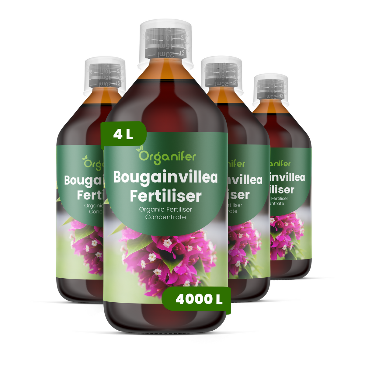 8719958004580 4L Bougainvillea labels