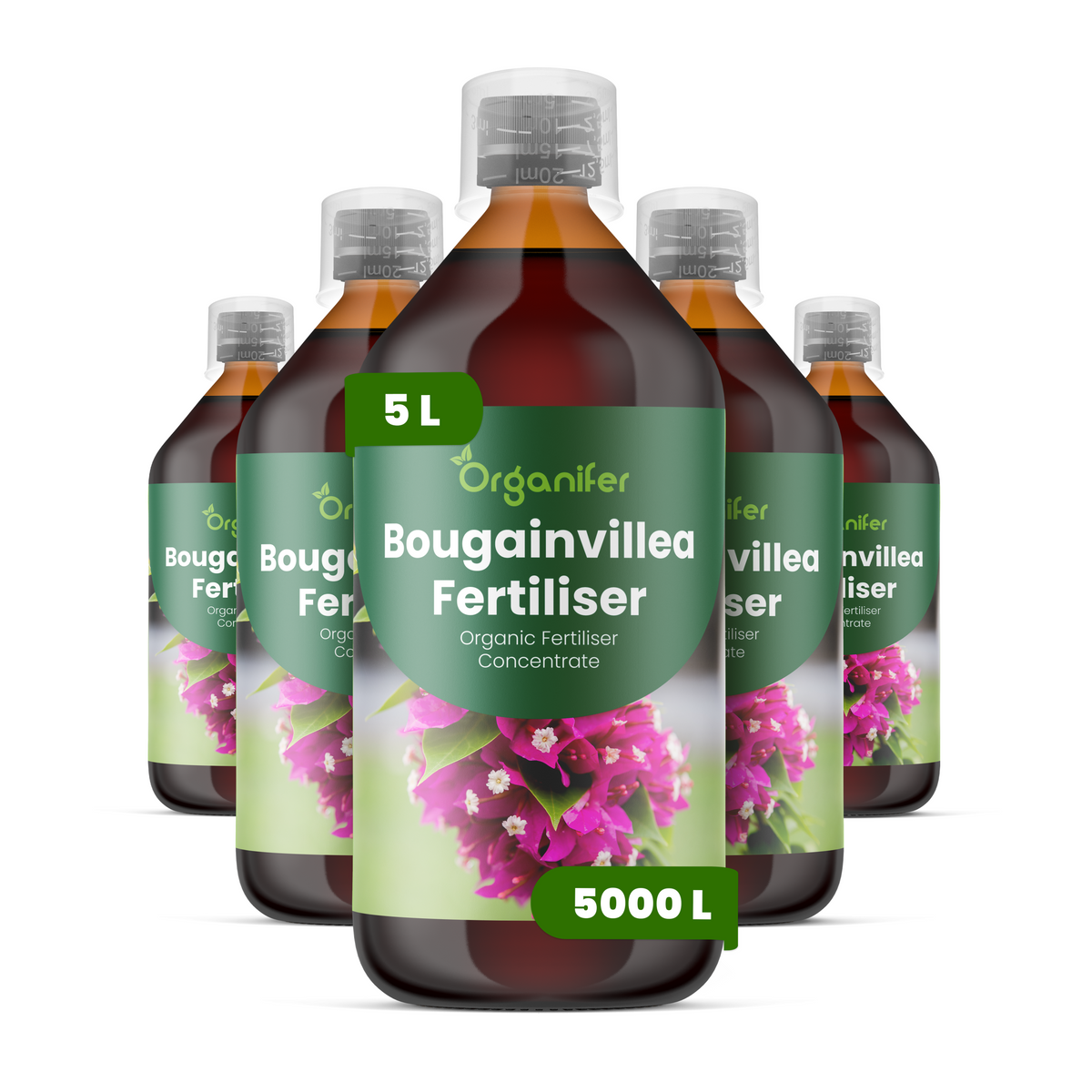 8719958004559 5L Bougainvillea labels