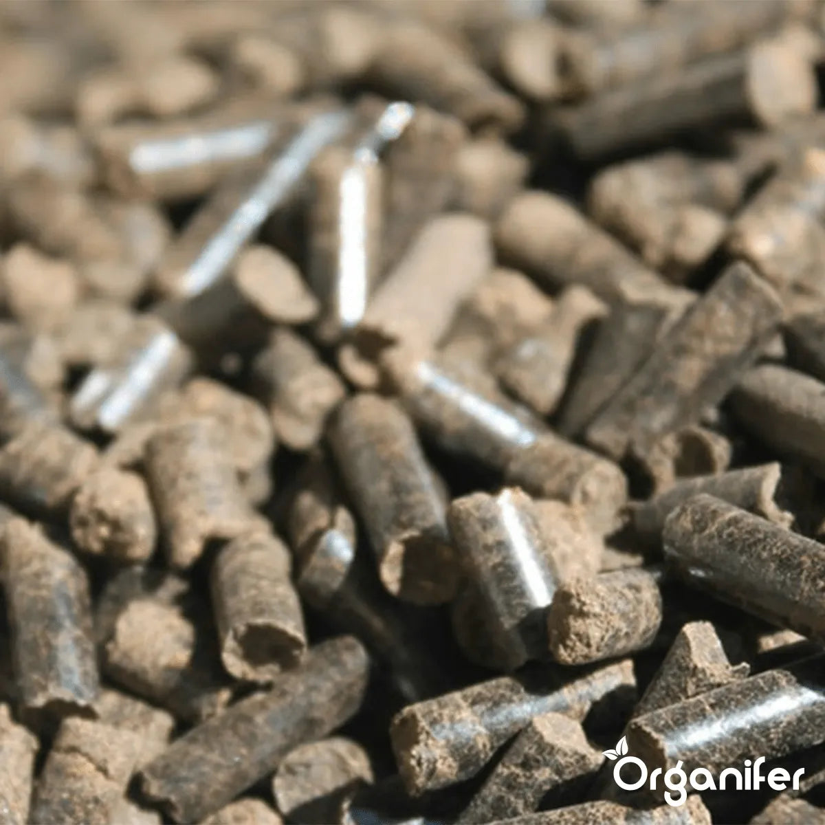 Organifer Chicken manure pellets (20 kg - for 200 m2) 8719958997660 11