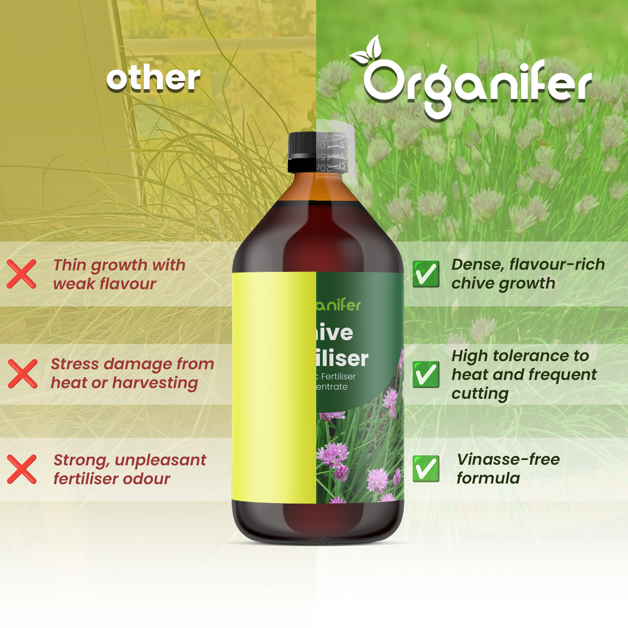 Chive comparison