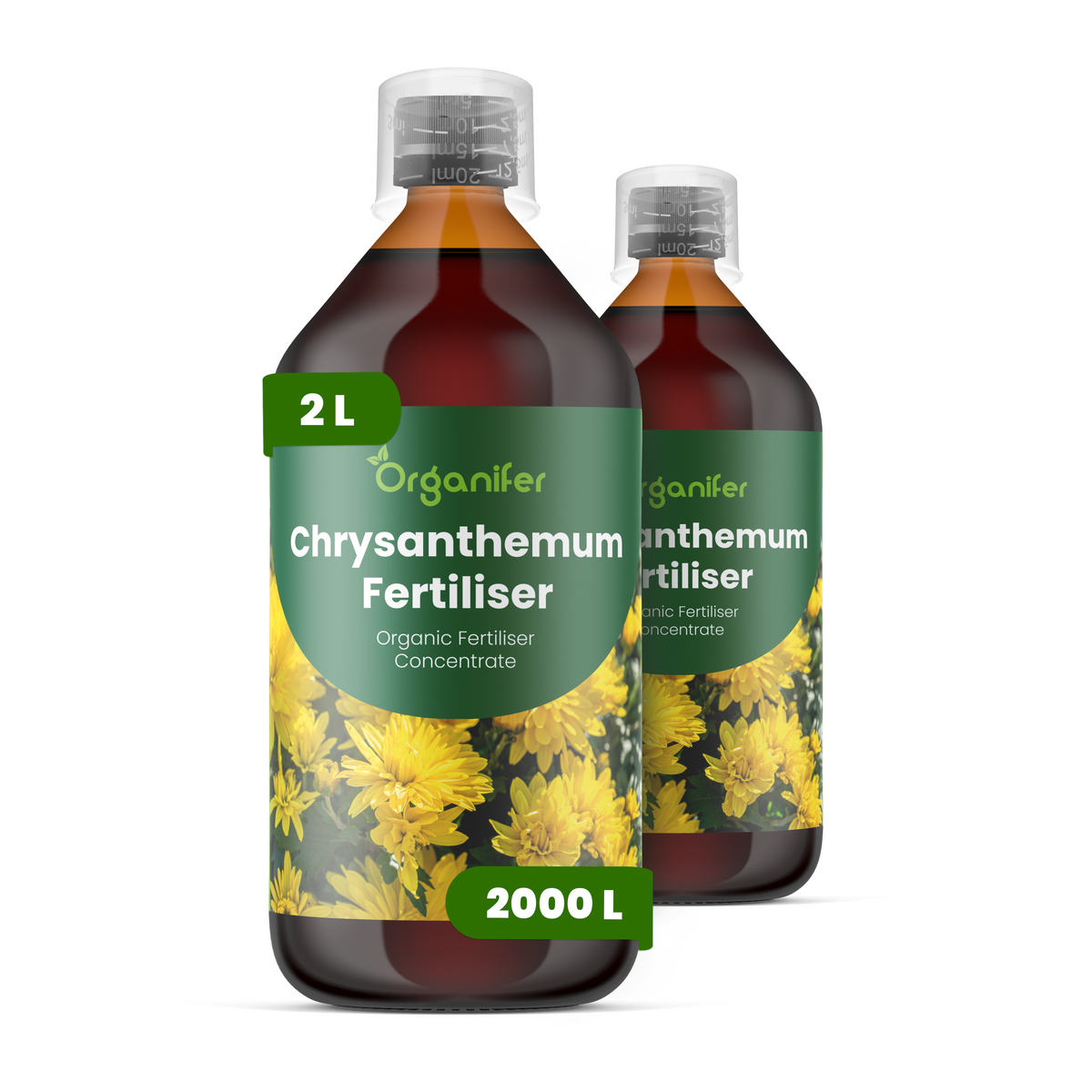8719958005242 2L Chrysanthemum labels