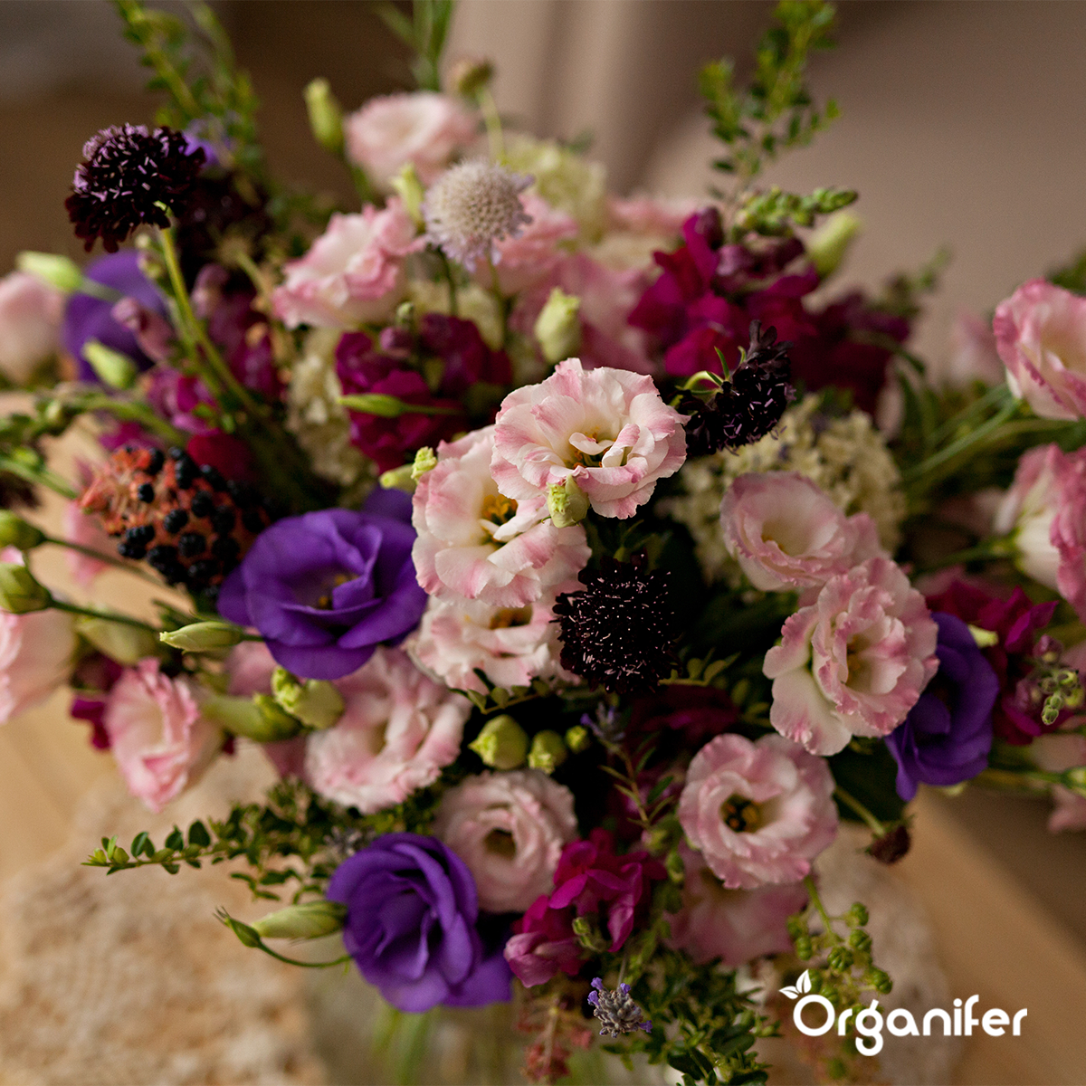 Organifer Cut Flowers Seed Packet - 20 Varieties 8719958993082 5