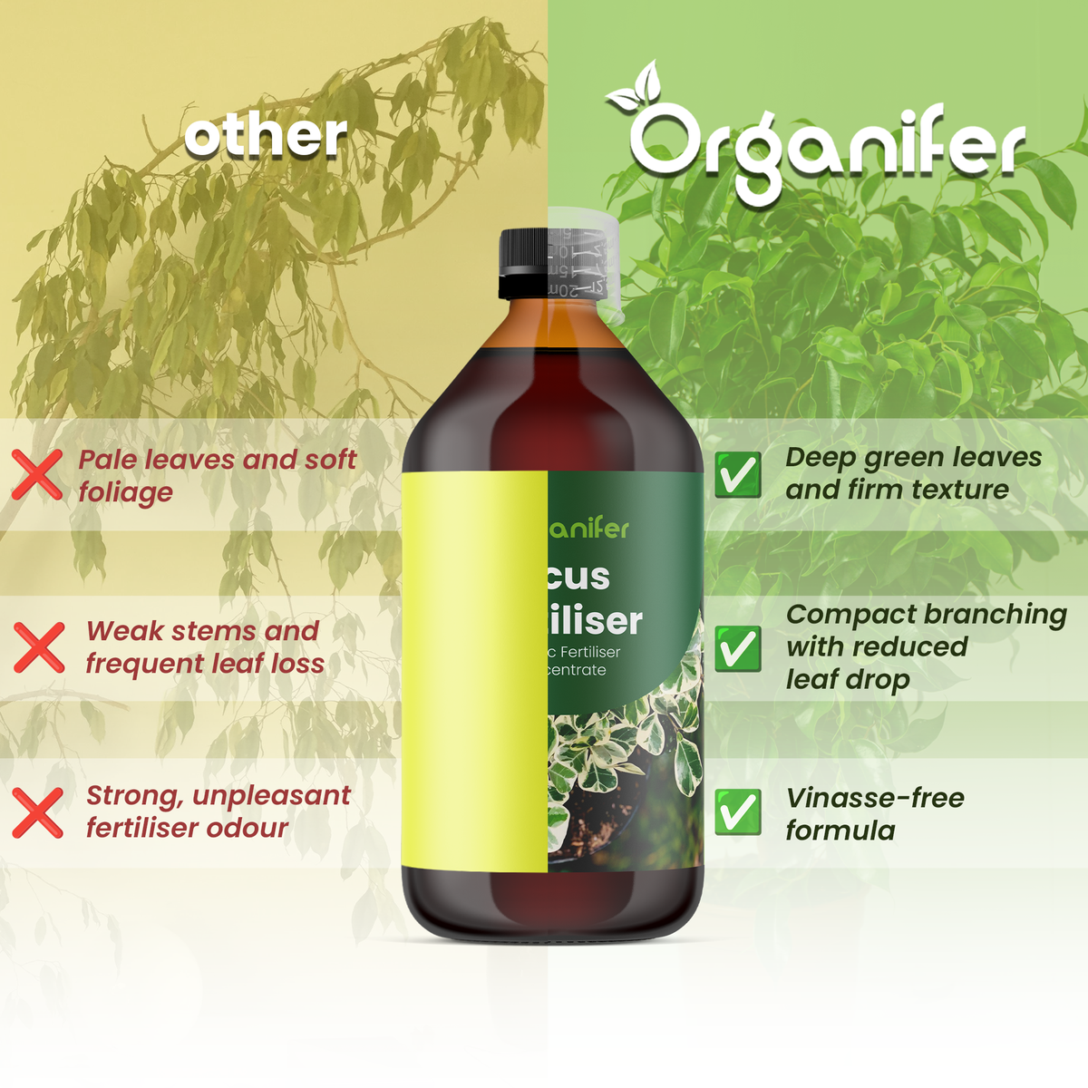 Organifer Ficus Liquid Fertiliser - 5x1 liter 8719958006119 3