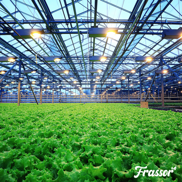 Organifer Frassor Insect Frass (25x = 500 kg - for 5.000 m2) 8719958996274 10