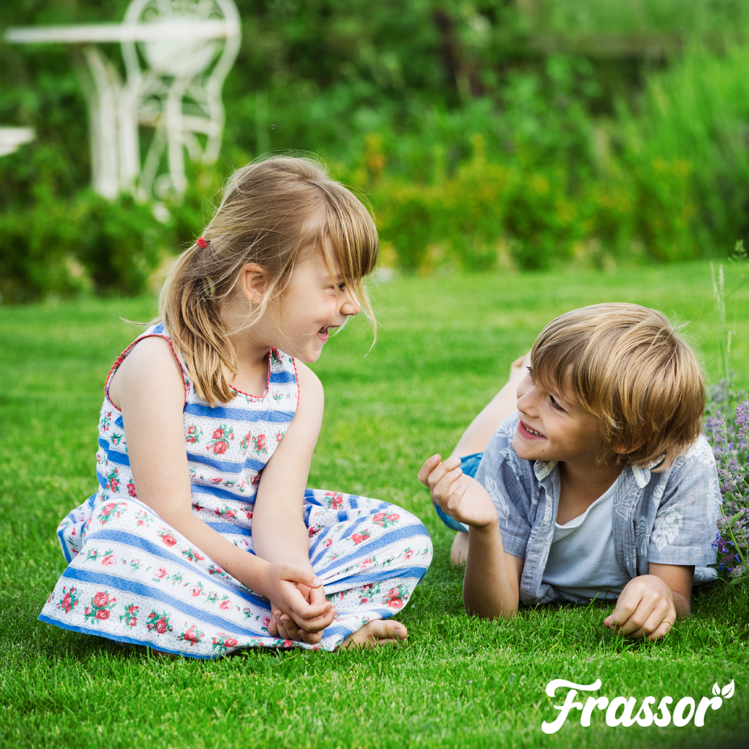 Frassor Lawn Fertiliser All-in-One