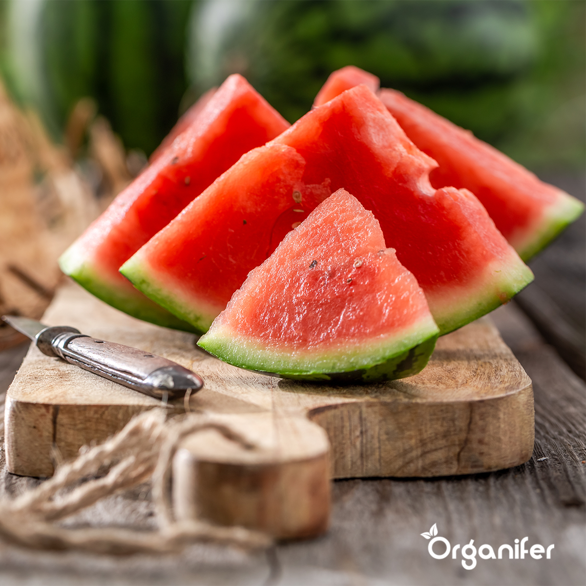 Organifer Fruit Seeds Package - 13 Types 8719958993112 4