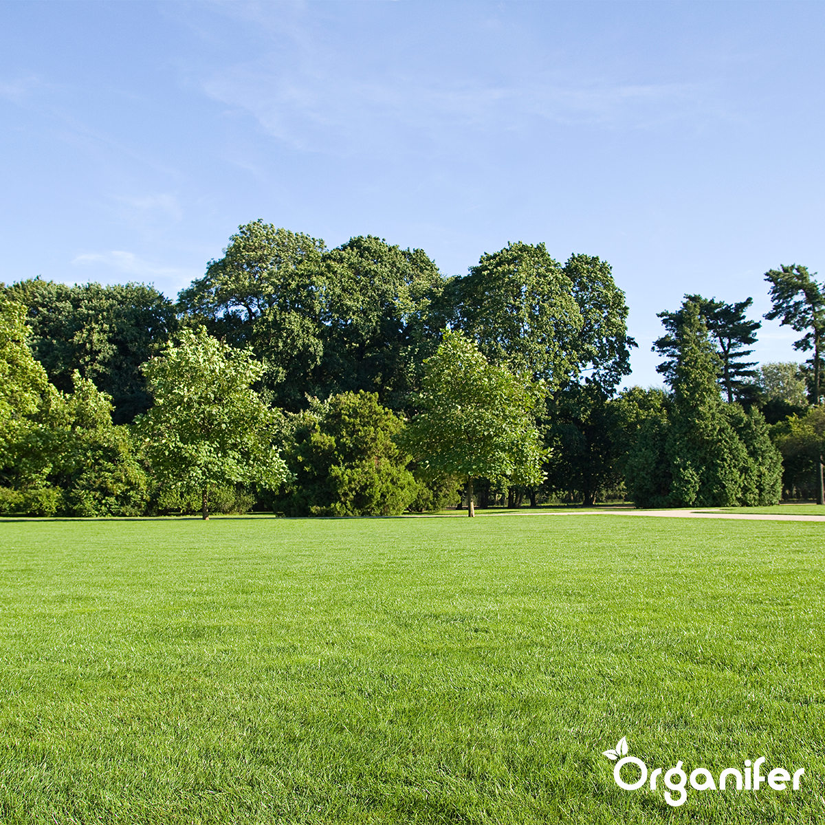 Organifer Grass Insects Concentrate - 250 ml for 62 m2 8719958998582 4