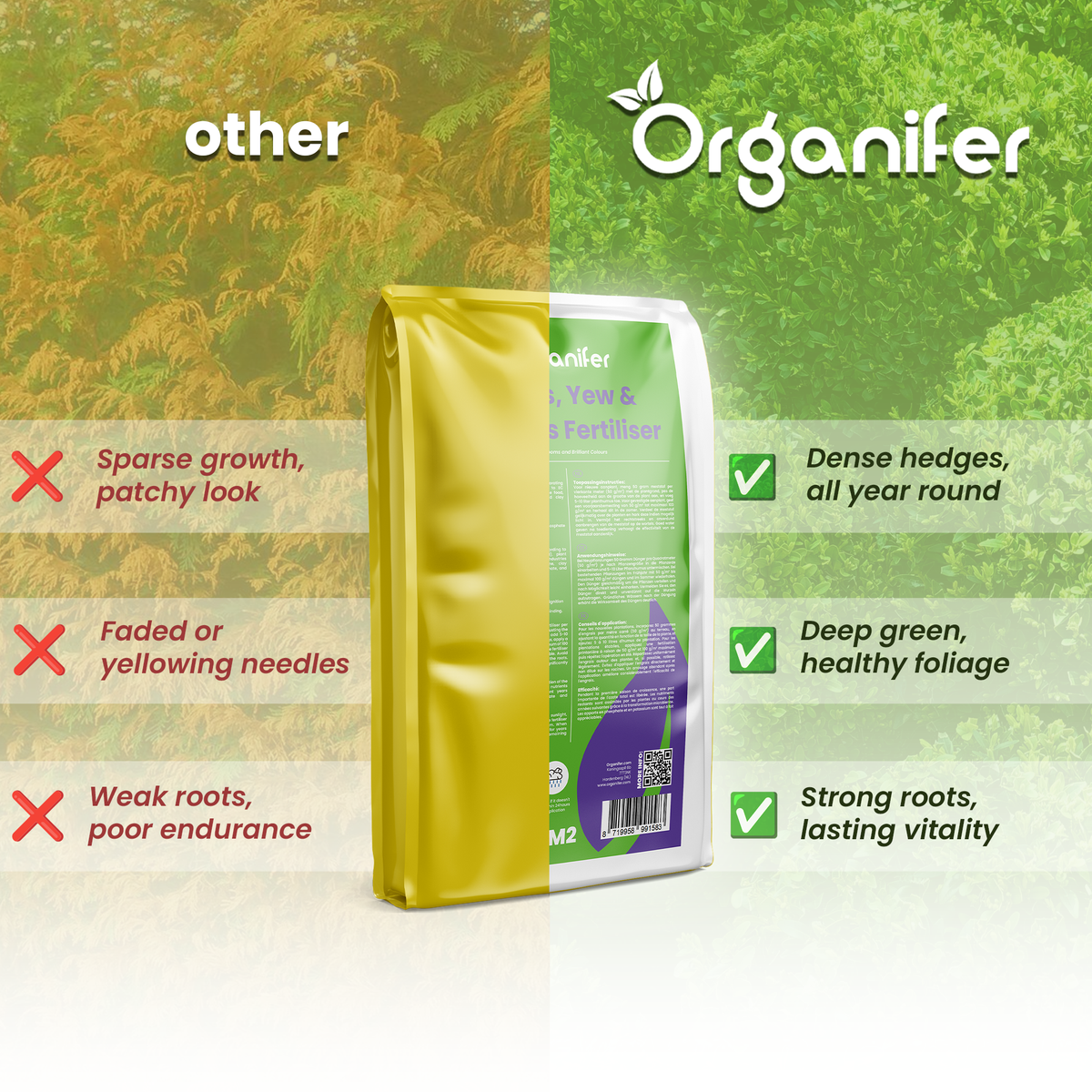 Hedges, Yew & Conifers Fertiliser All-In-One Compare