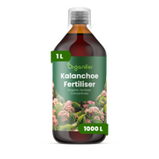organifer-kalanchoe-liquid-fertiliser