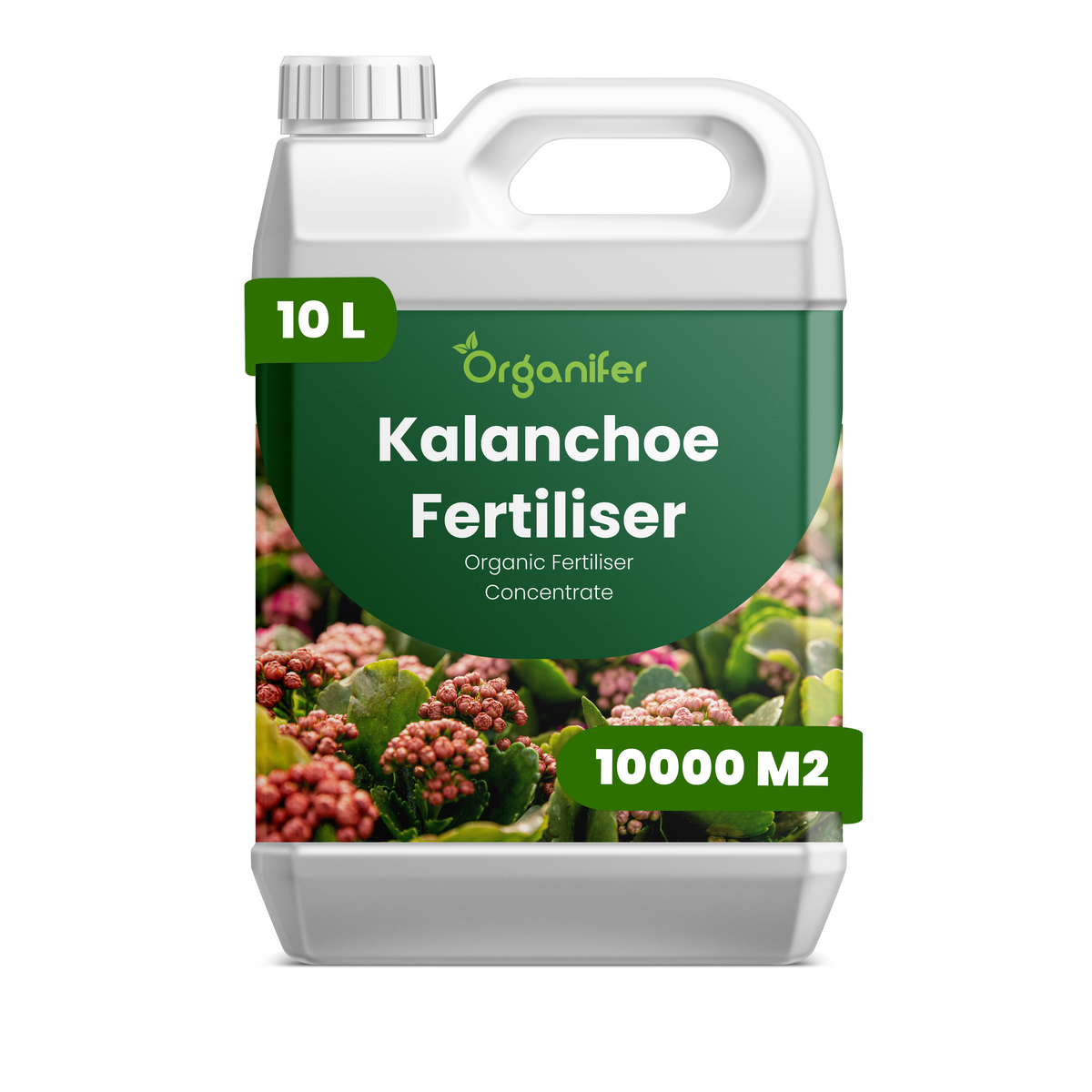 organifer-kalanchoe-liquid-fertiliser