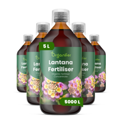 organifer-lantana-liquid-fertiliser