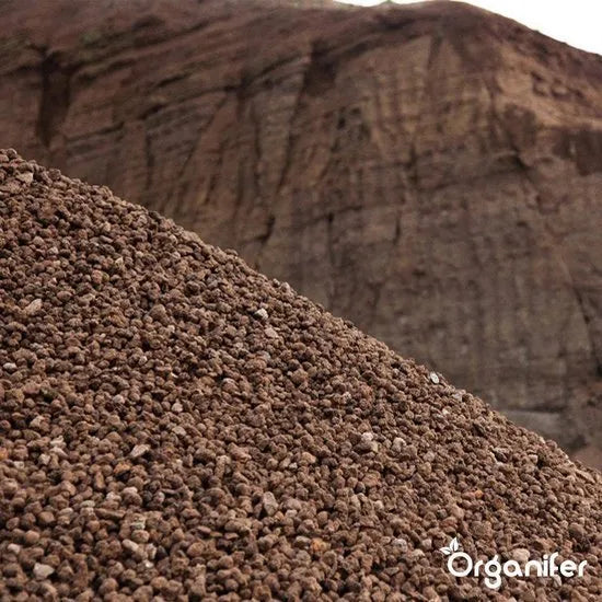 Organifer Lava Grit from Eifel Primordial Rock (20 kg for 200 m2) 8719958997806 14